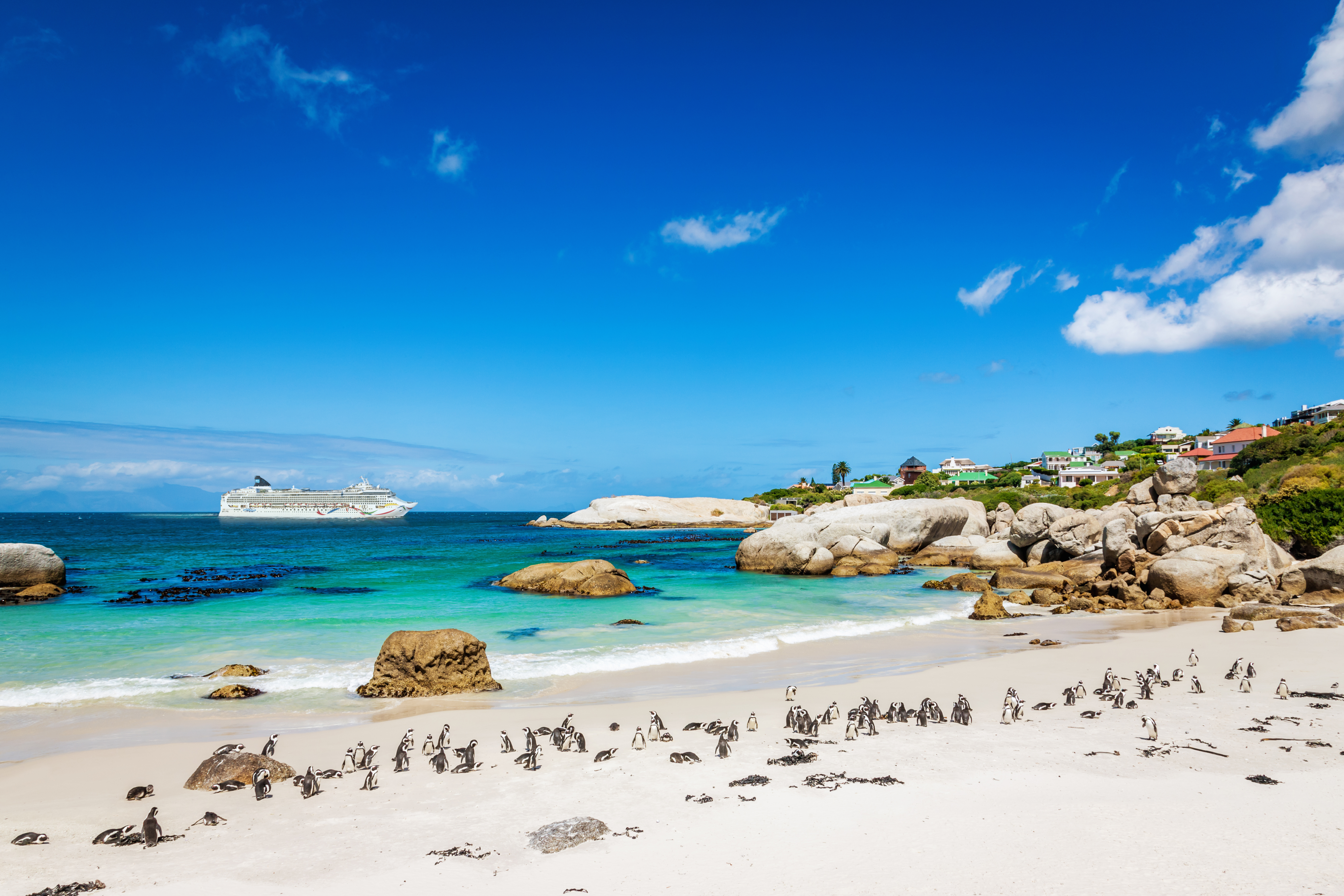 Africa Cruises