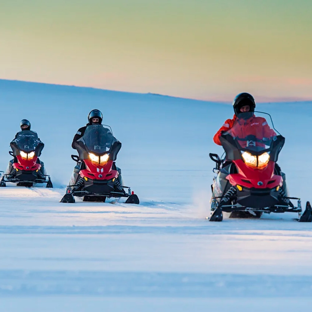 7. We work with on-the-ground experts