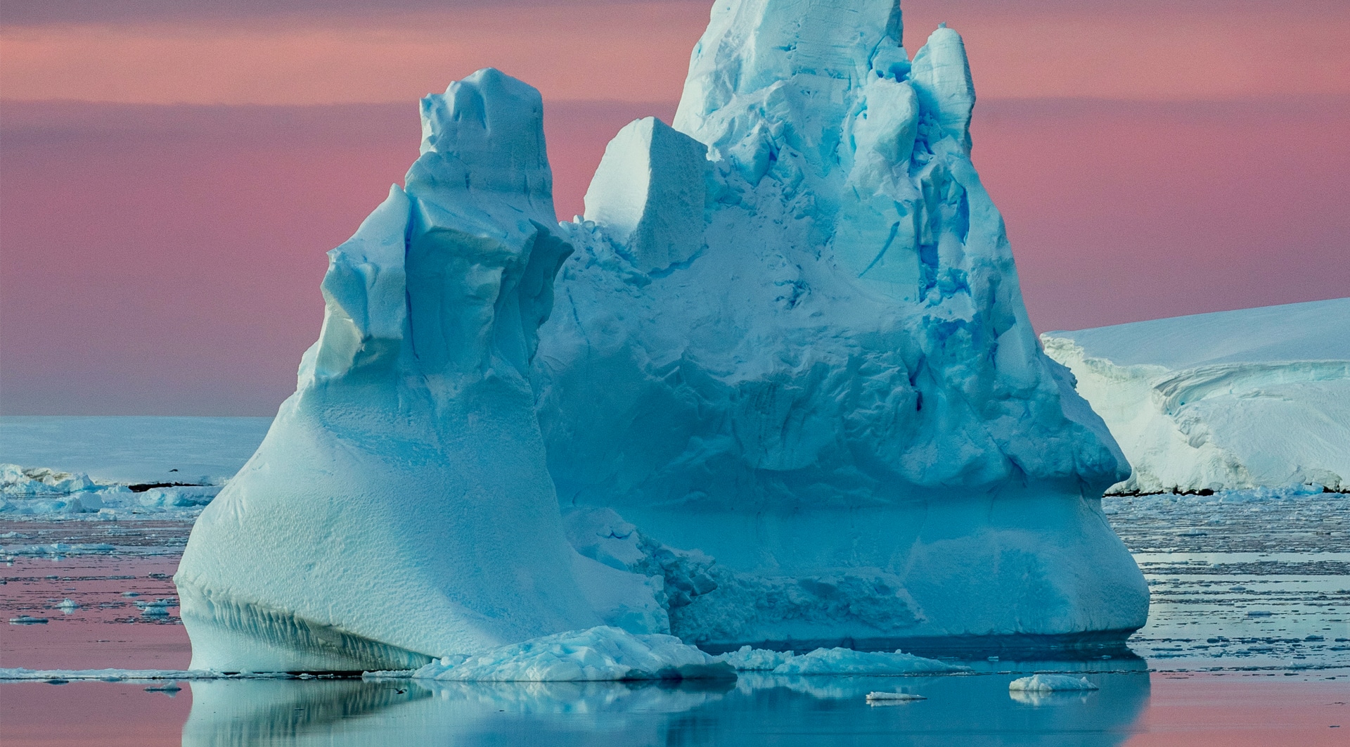 Wild Antarctica featuring the Weddell Sea
