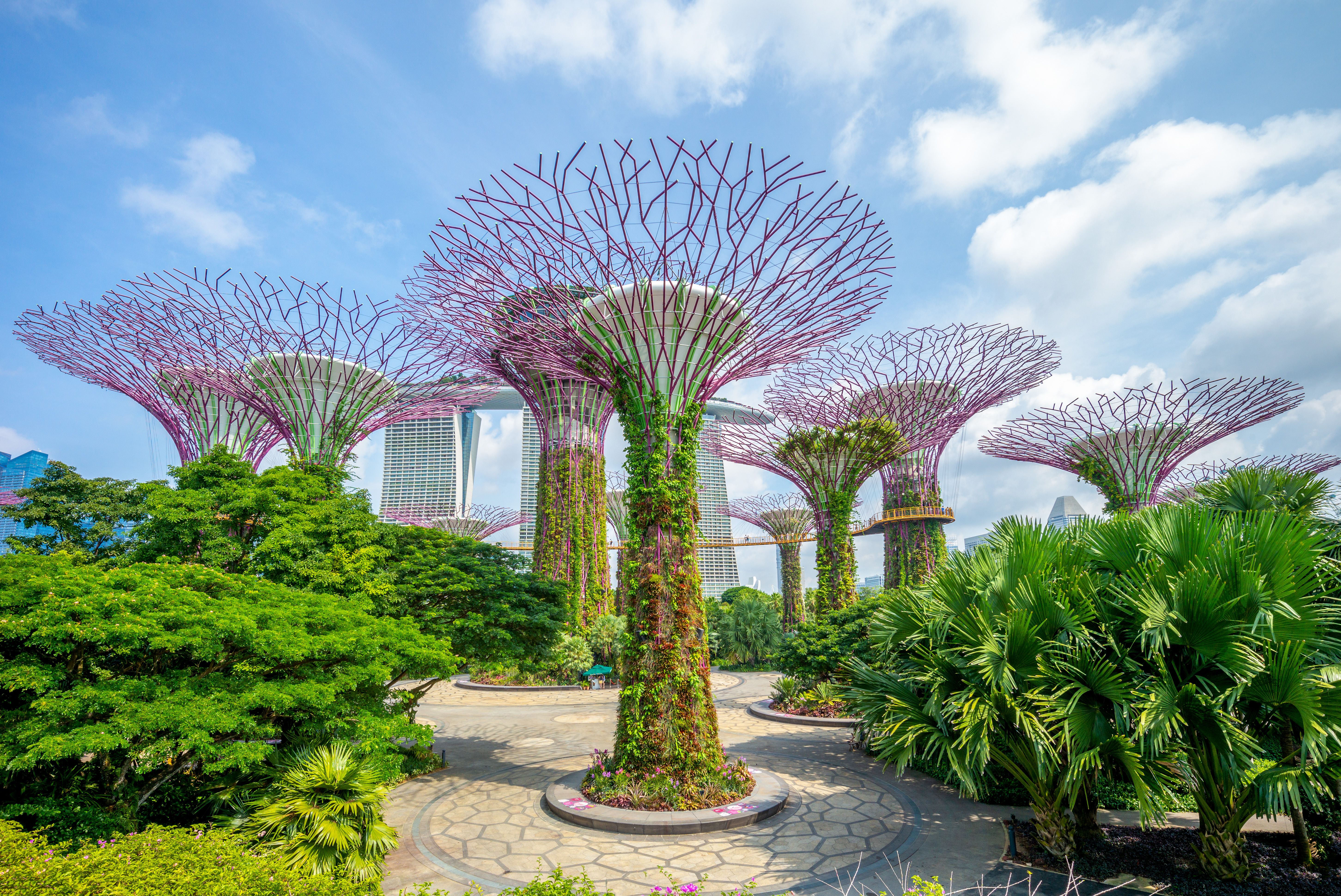 EXPLORE ASIA BY LAND AND SEA