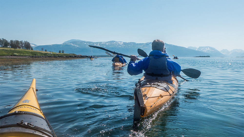 No single supplement