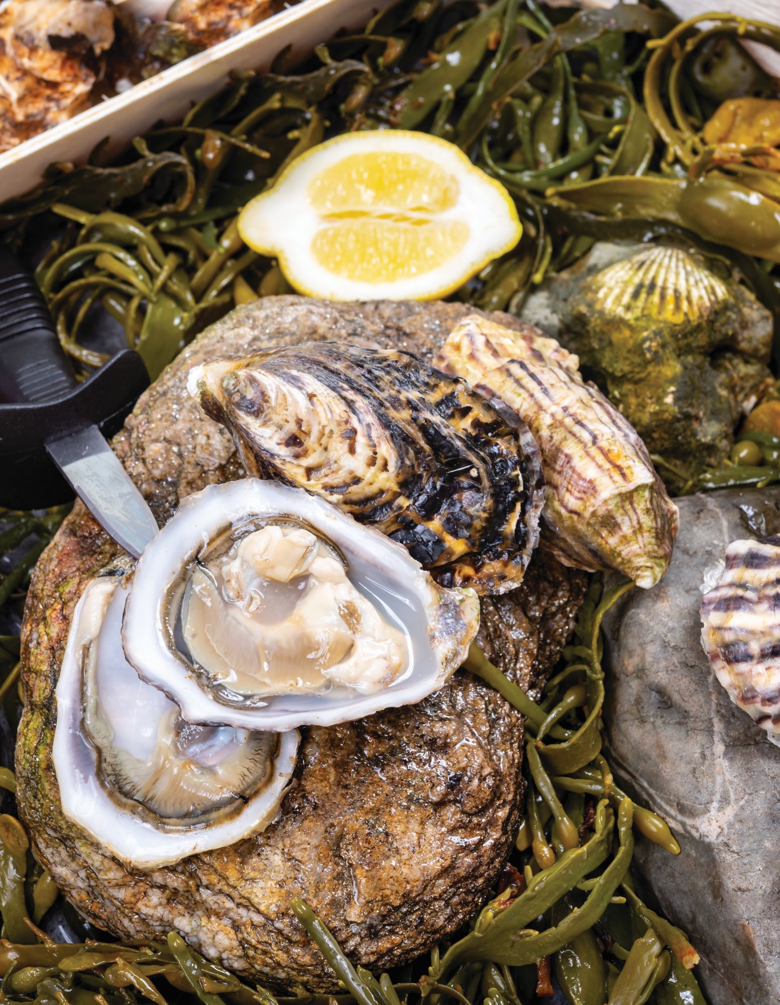CULINARY DISCOVERY TOUR CHEF-LED OYSTER FARM AND COOKING CLASS