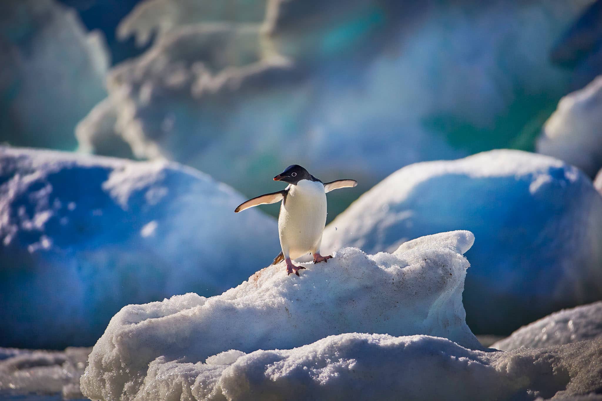 Across the Antarctic Circle