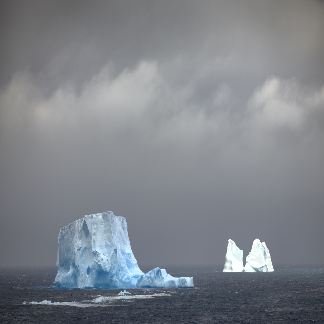 South Georgia & Antarctic Odyssey featuring the South Sandwich Islands