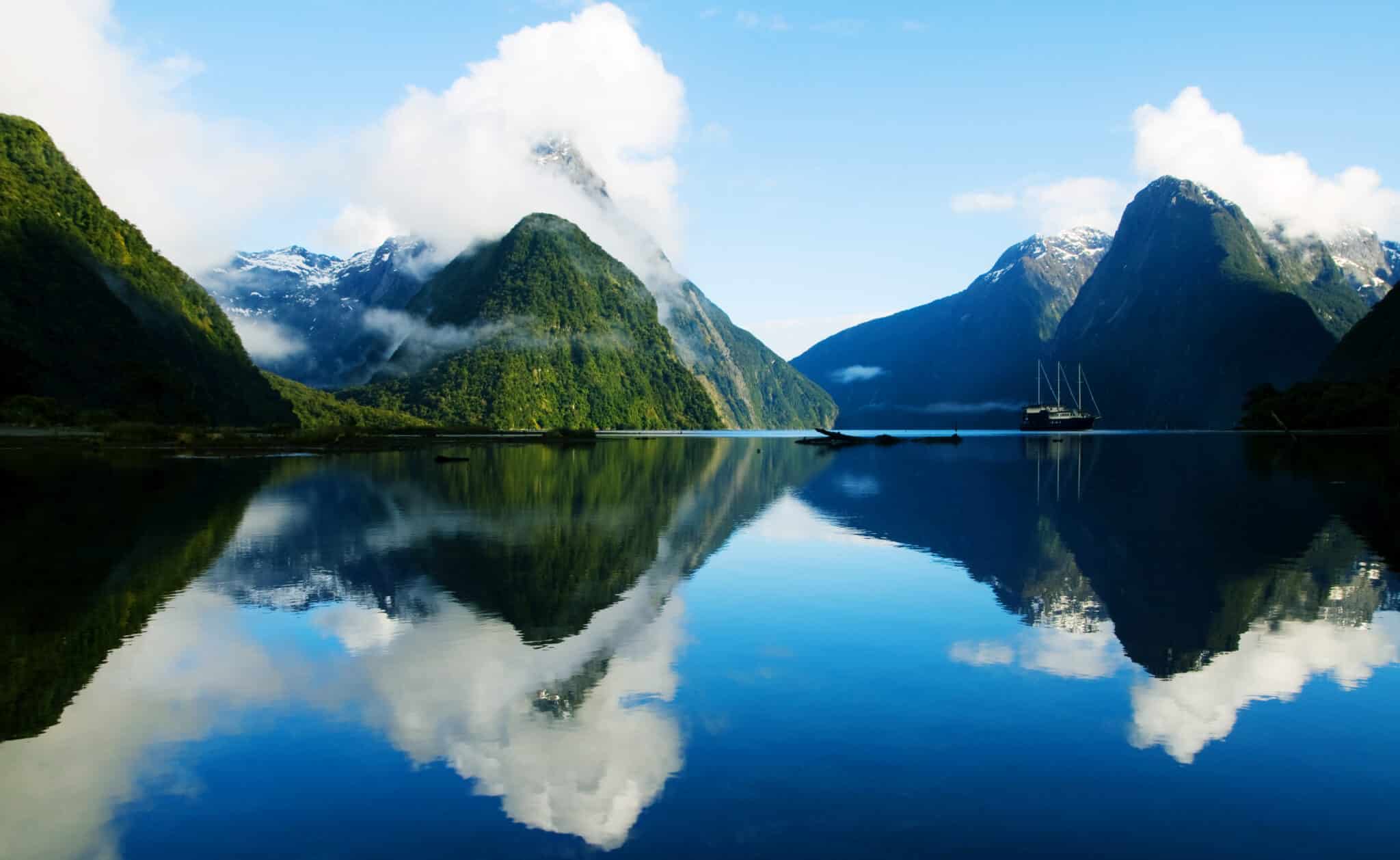 Subantarctic Discovery