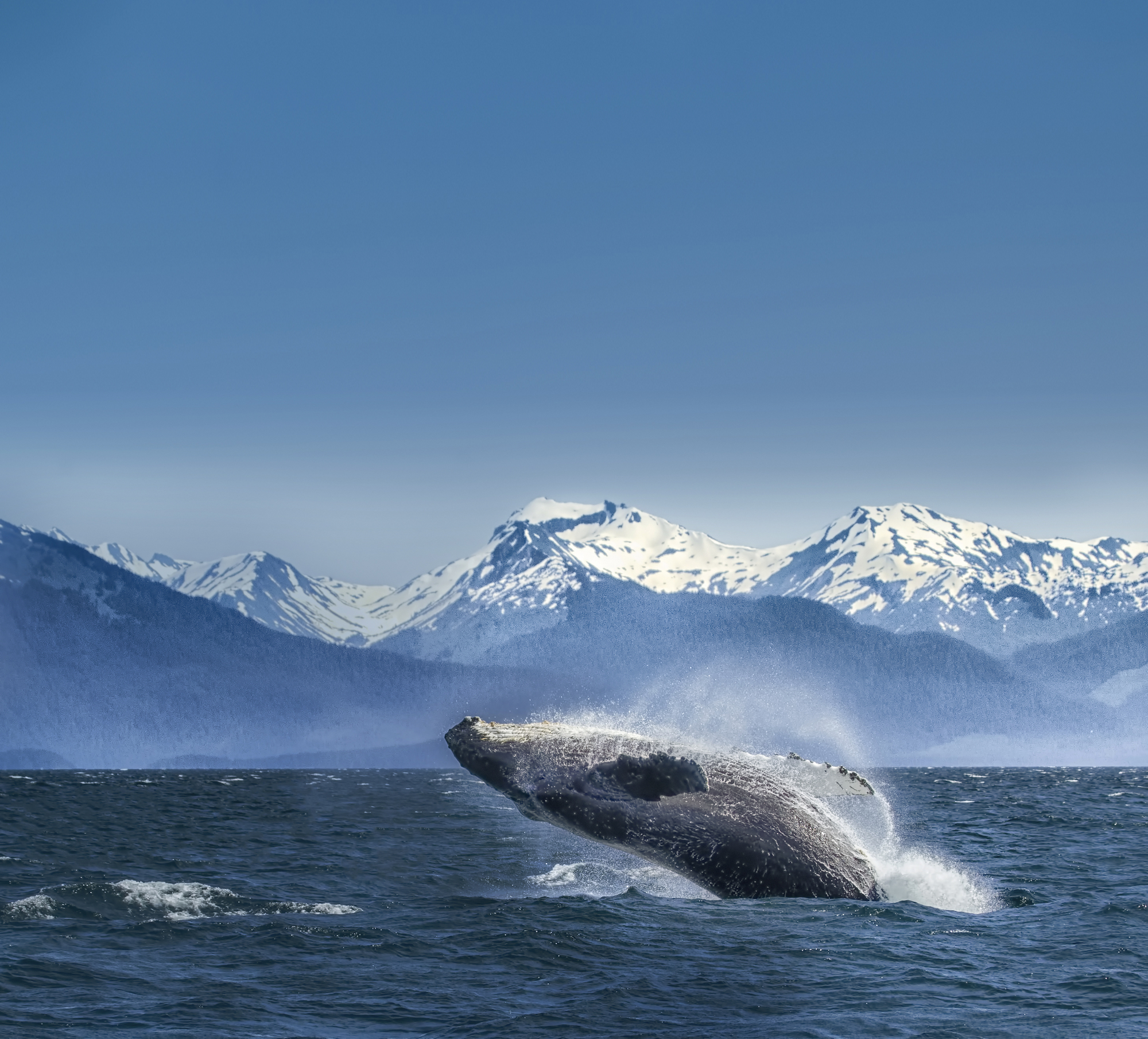 Cruceros por Alaska