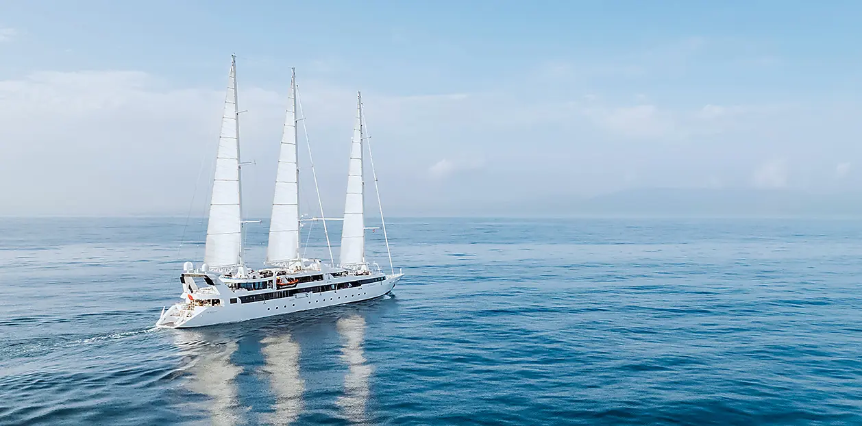 SAILING SHIP