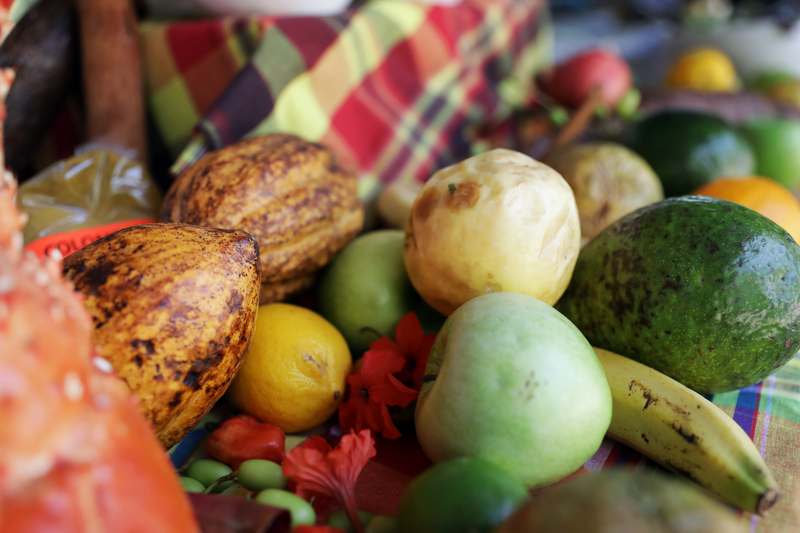 Gliding the Waters of the Windward Islands