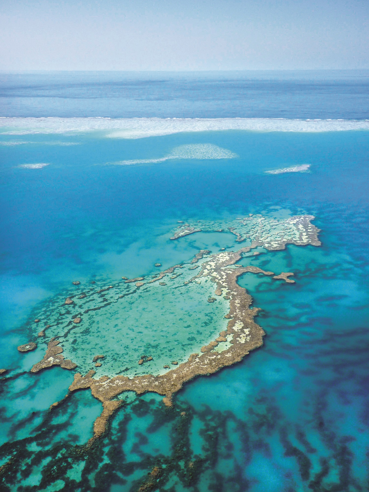 A CELEBRATION OF OUR WORLD