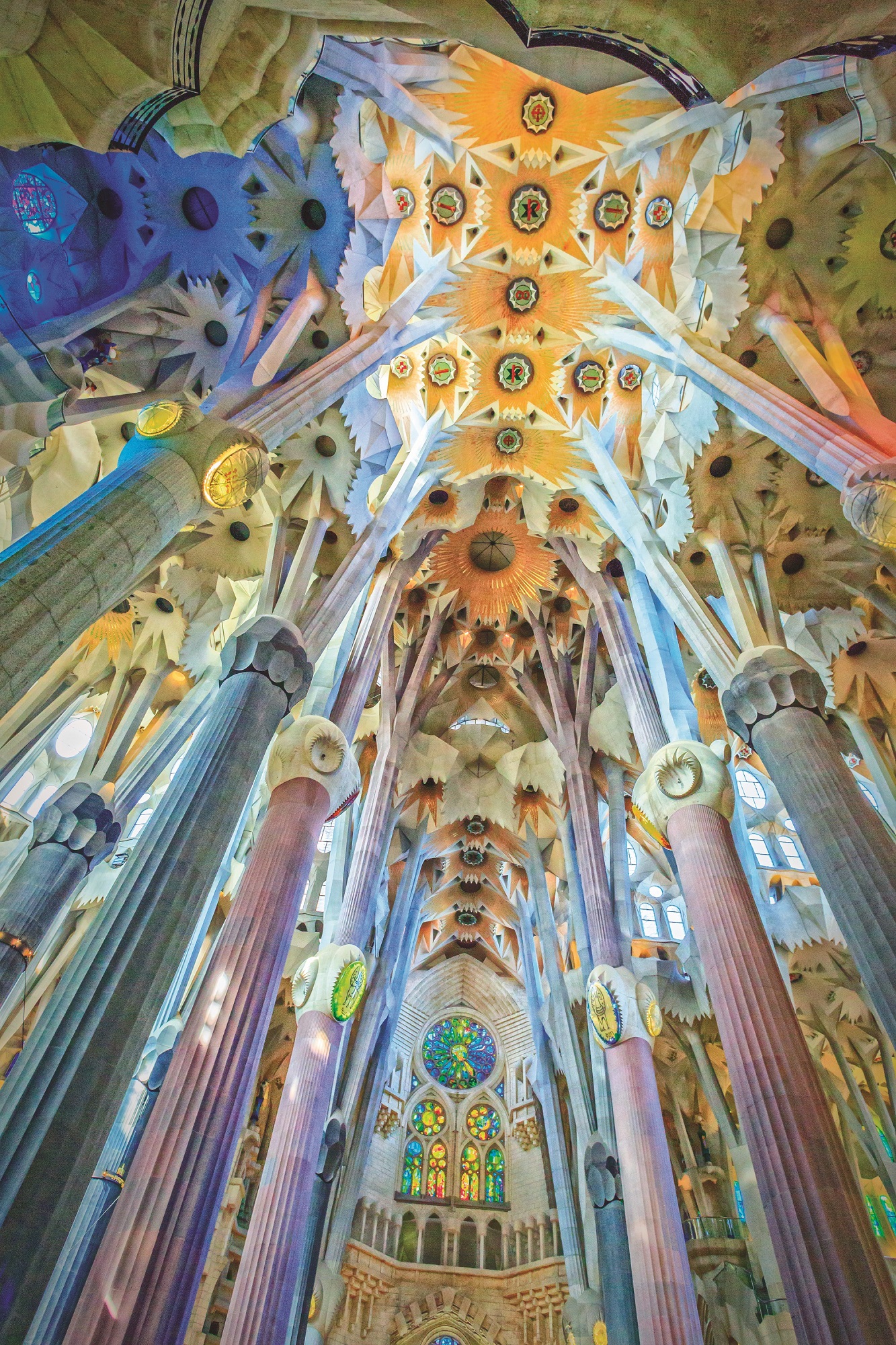 **Continental Explorer**