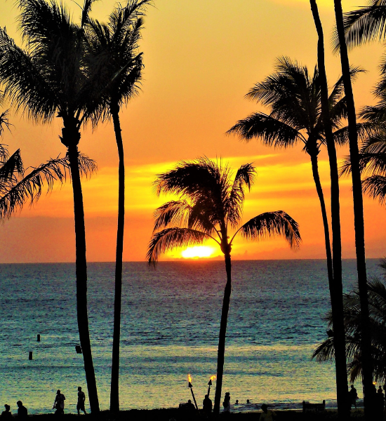 DESIGNED TO ILLUMINATE