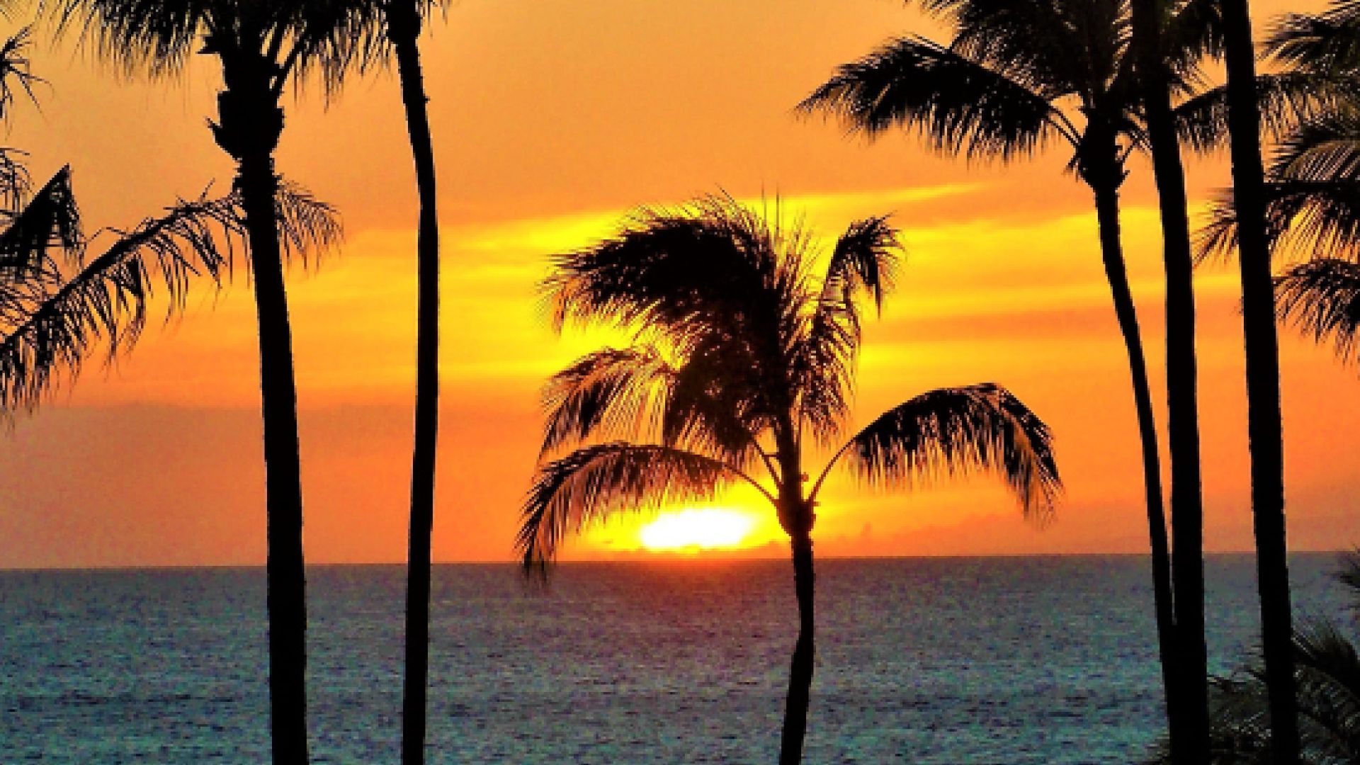 DESIGNED TO ILLUMINATE