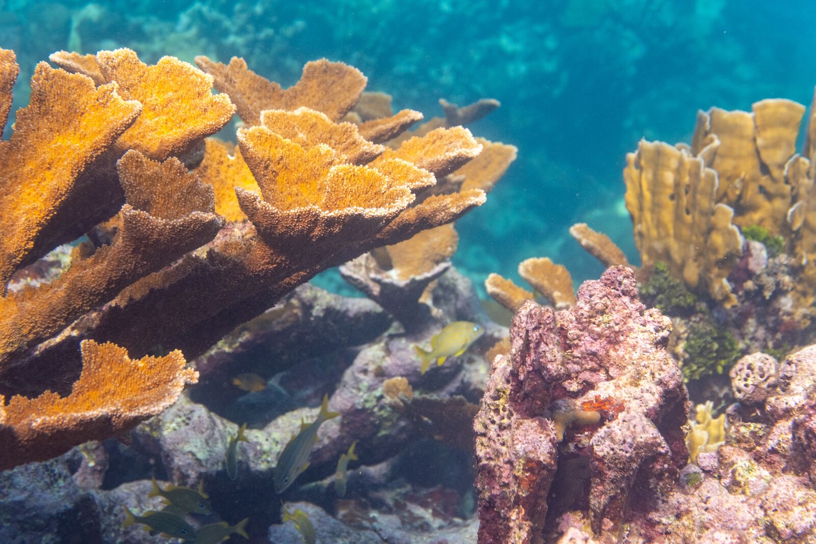 2. Be at one with nature, the Earth, or the nautical world