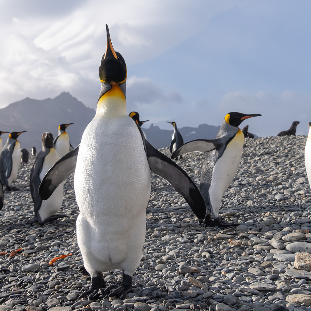 Destination Highlights