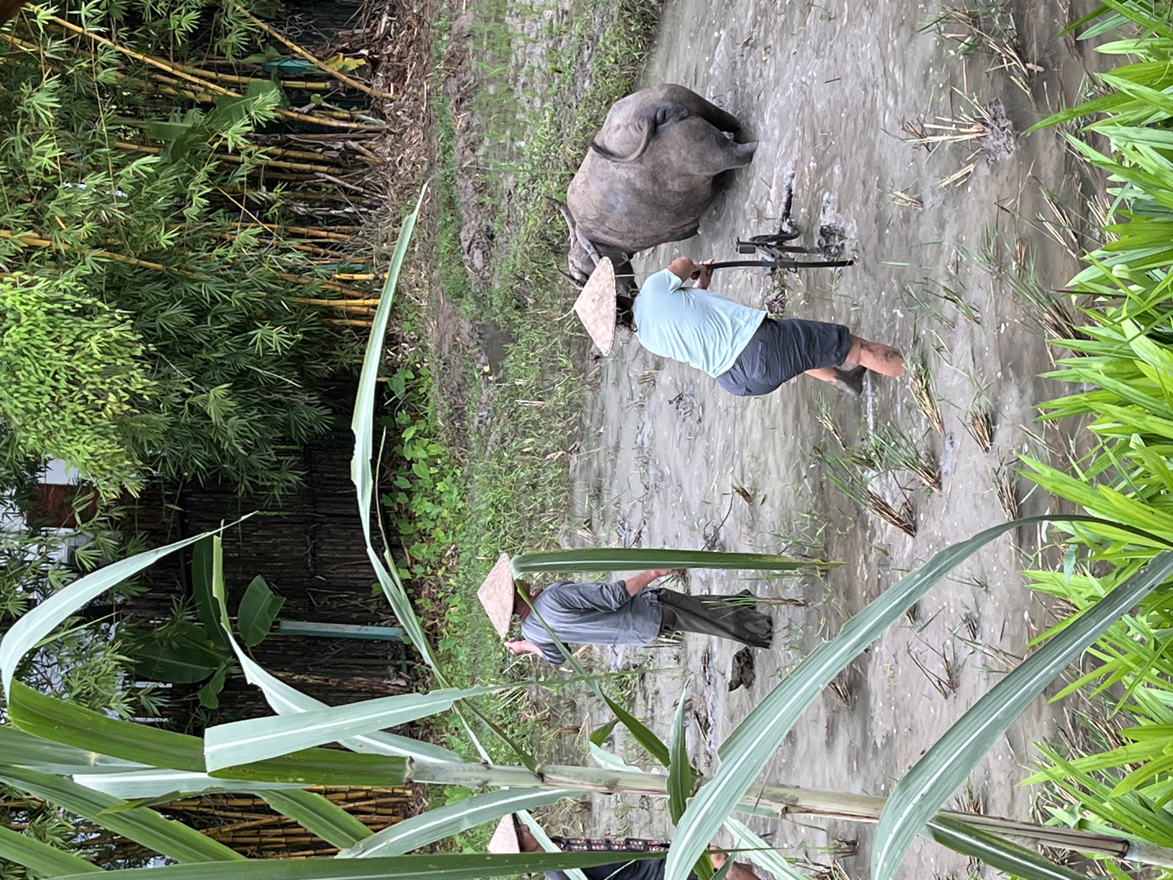 The Mekong, Vietnam, Laos & Cambodia