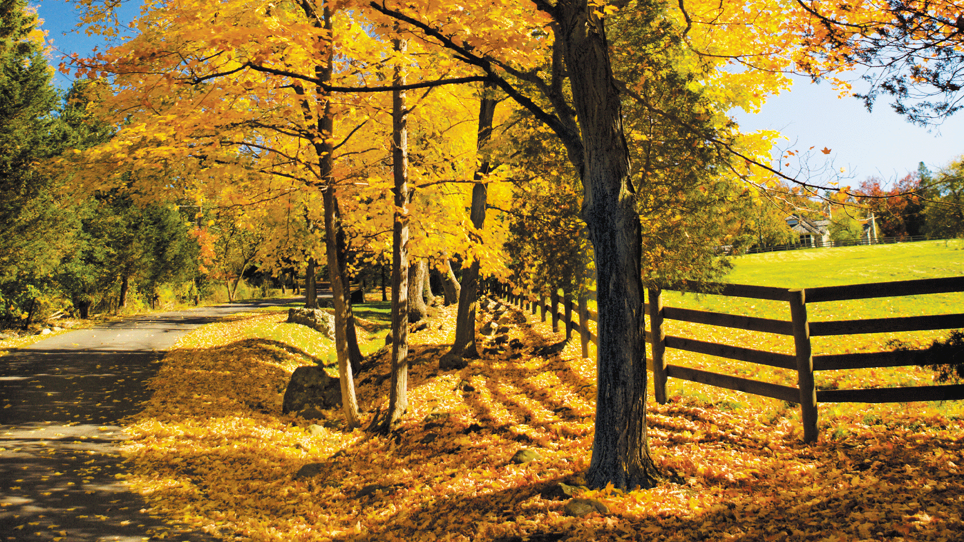 Montreal to New York