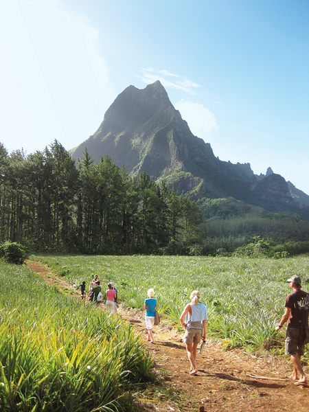 More Tuamotus & Society Islands