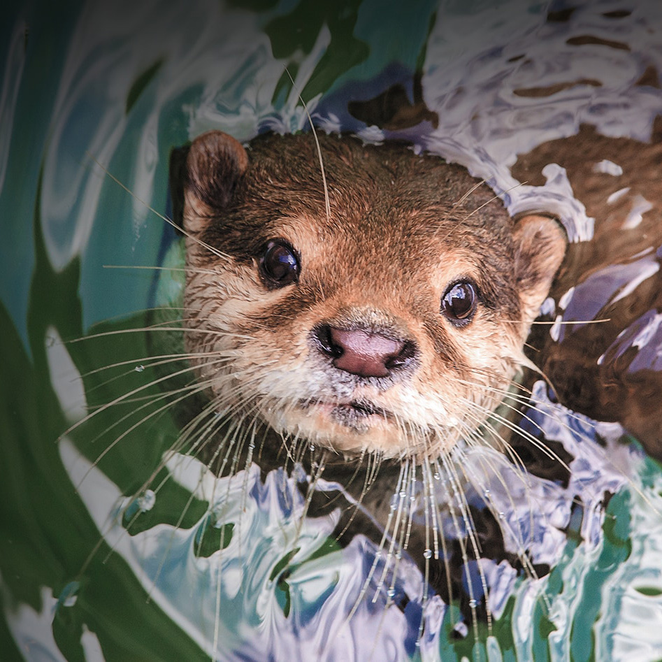 EXPLORE THE FRONTIER