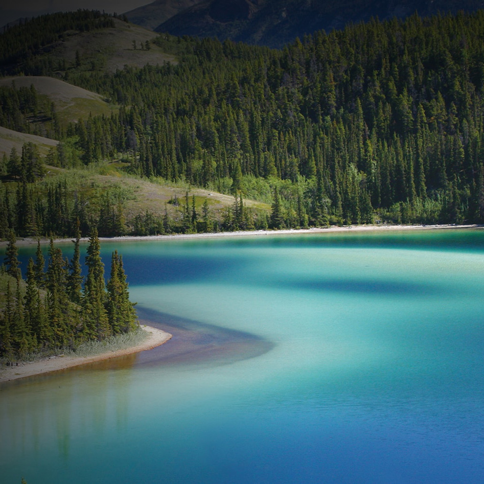 SOARING FJORDS & RAW WILDERNESS