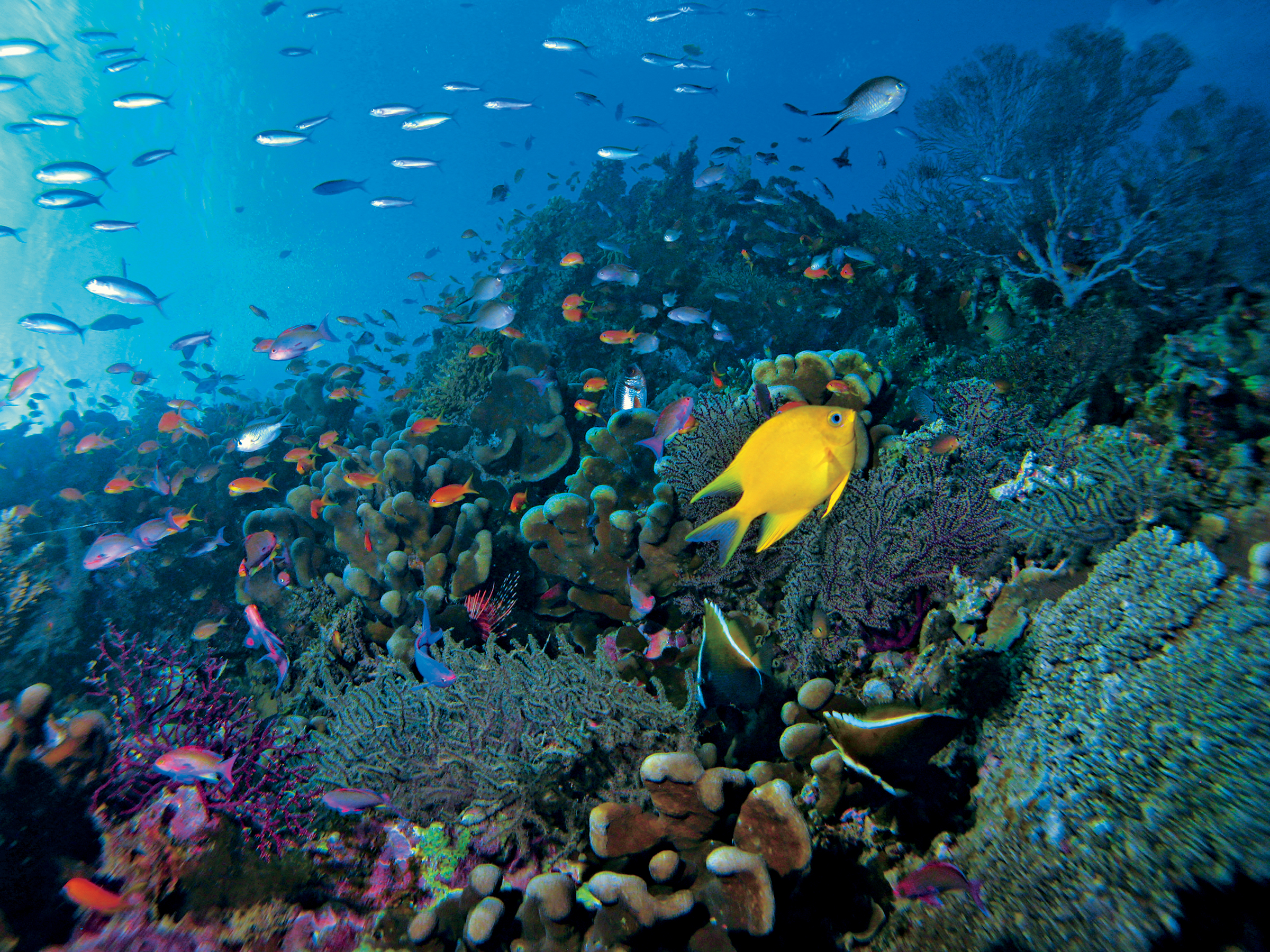 Tahiti & the Society Islands