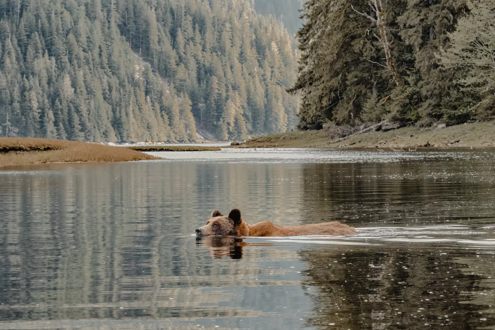 A Journey through Majestic Shores & Wilderness Serenity