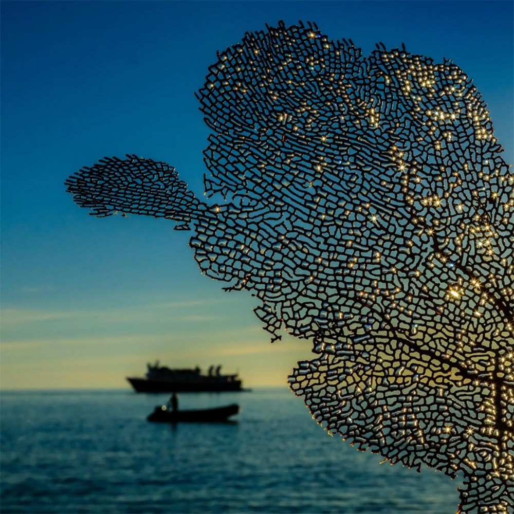 Baja California Mosaic: Magdalena Bay and Gulf of California