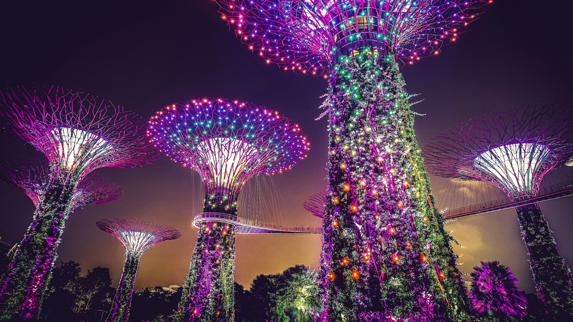 EXPLORE SINGAPORE
