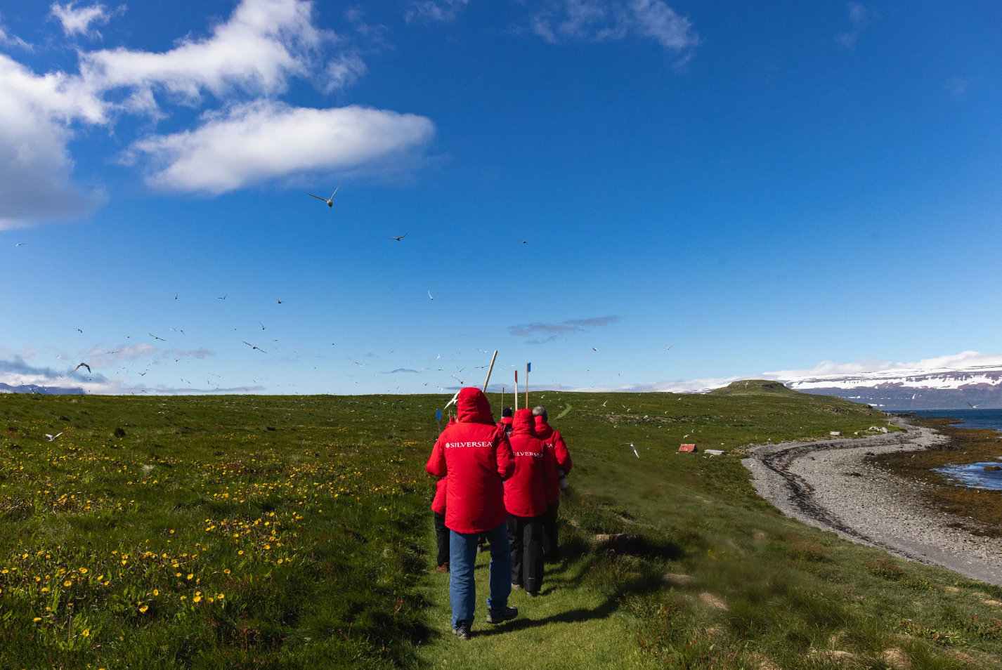 Walking on the Wild Side