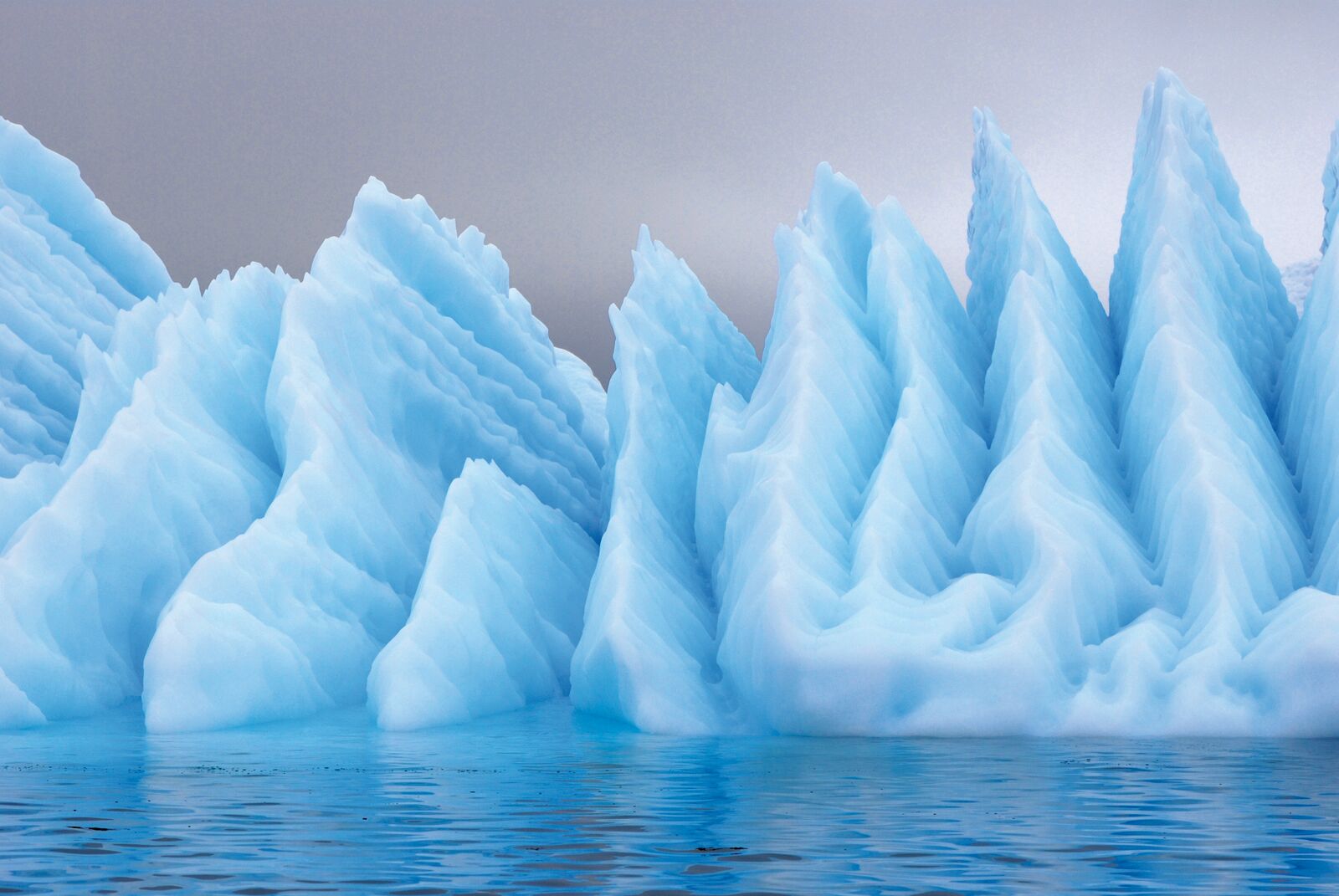 Emblematic Antarctica