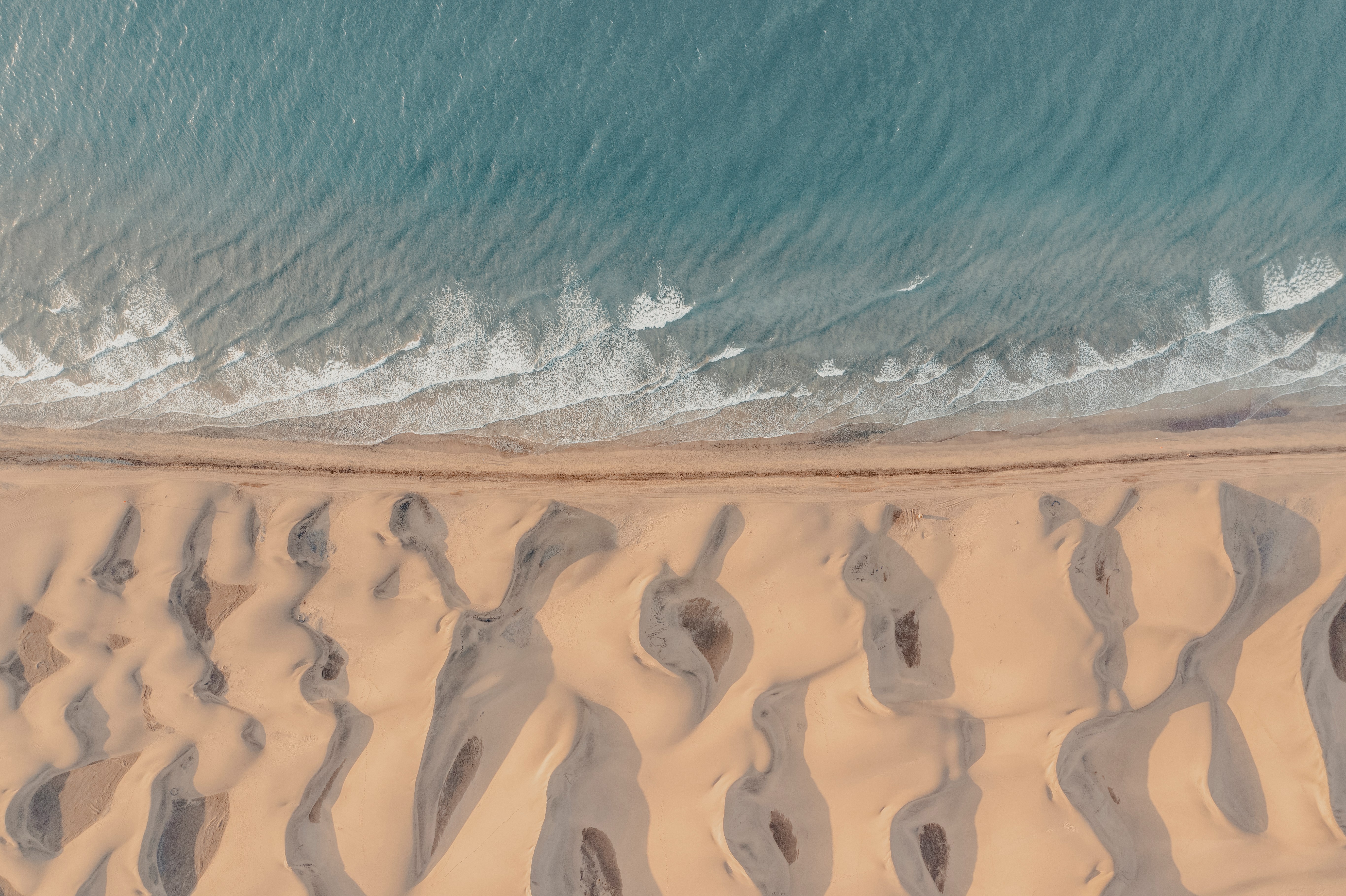 The Ocean State of Mind