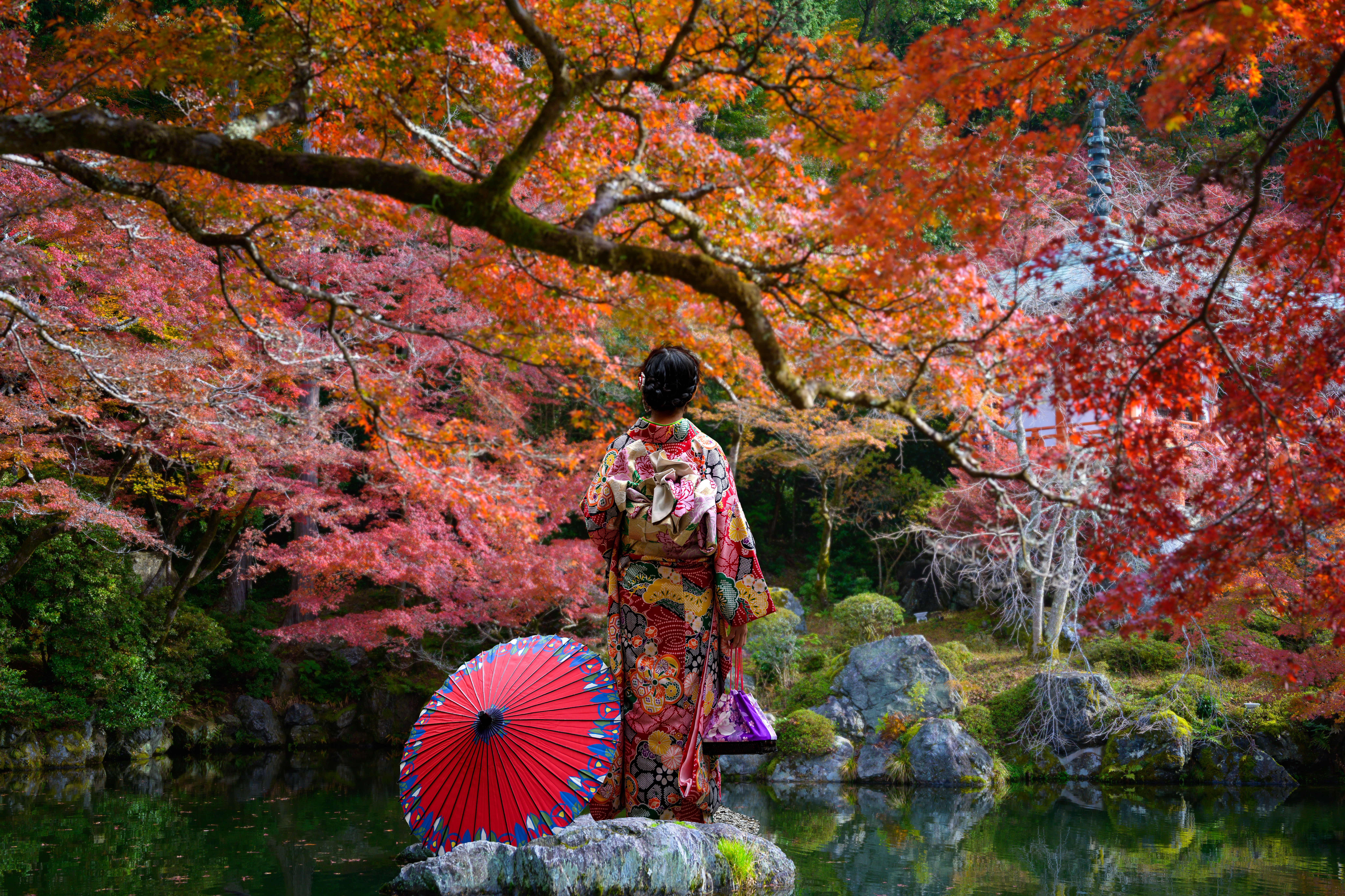 VOYAGE COLLECTION HIGHLIGHTS