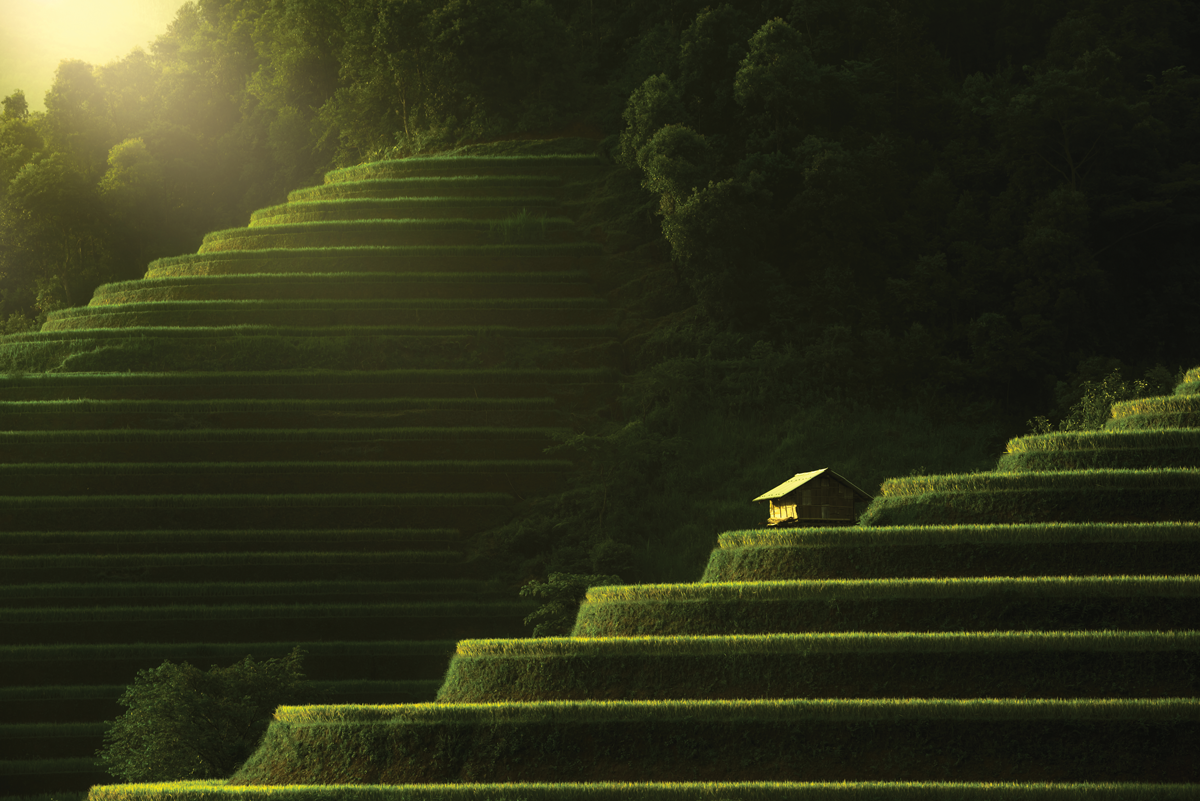 Grand Asia Escape - Hong Kong to Tokyo