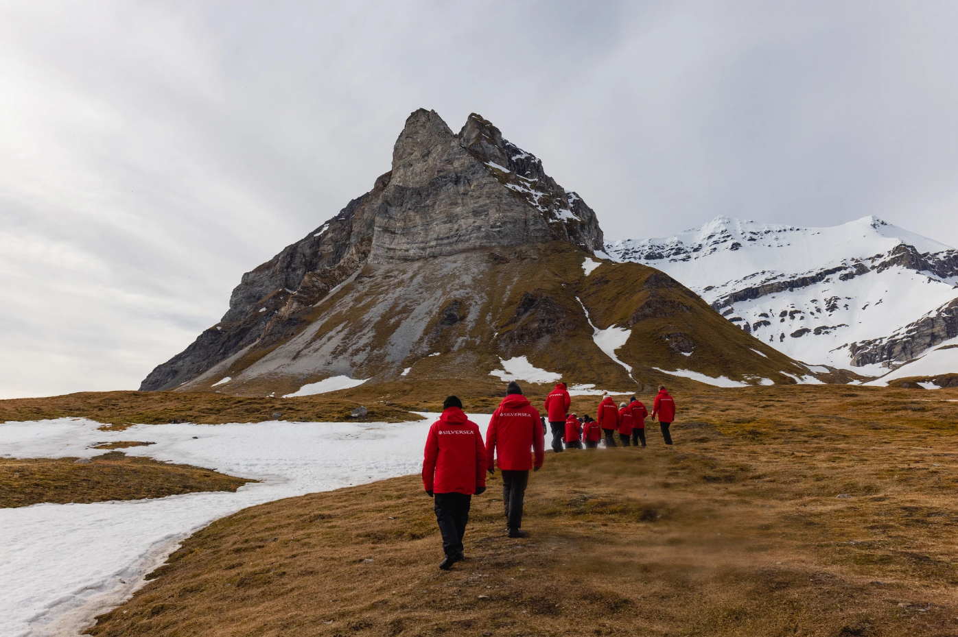 Walking on the Wild Side