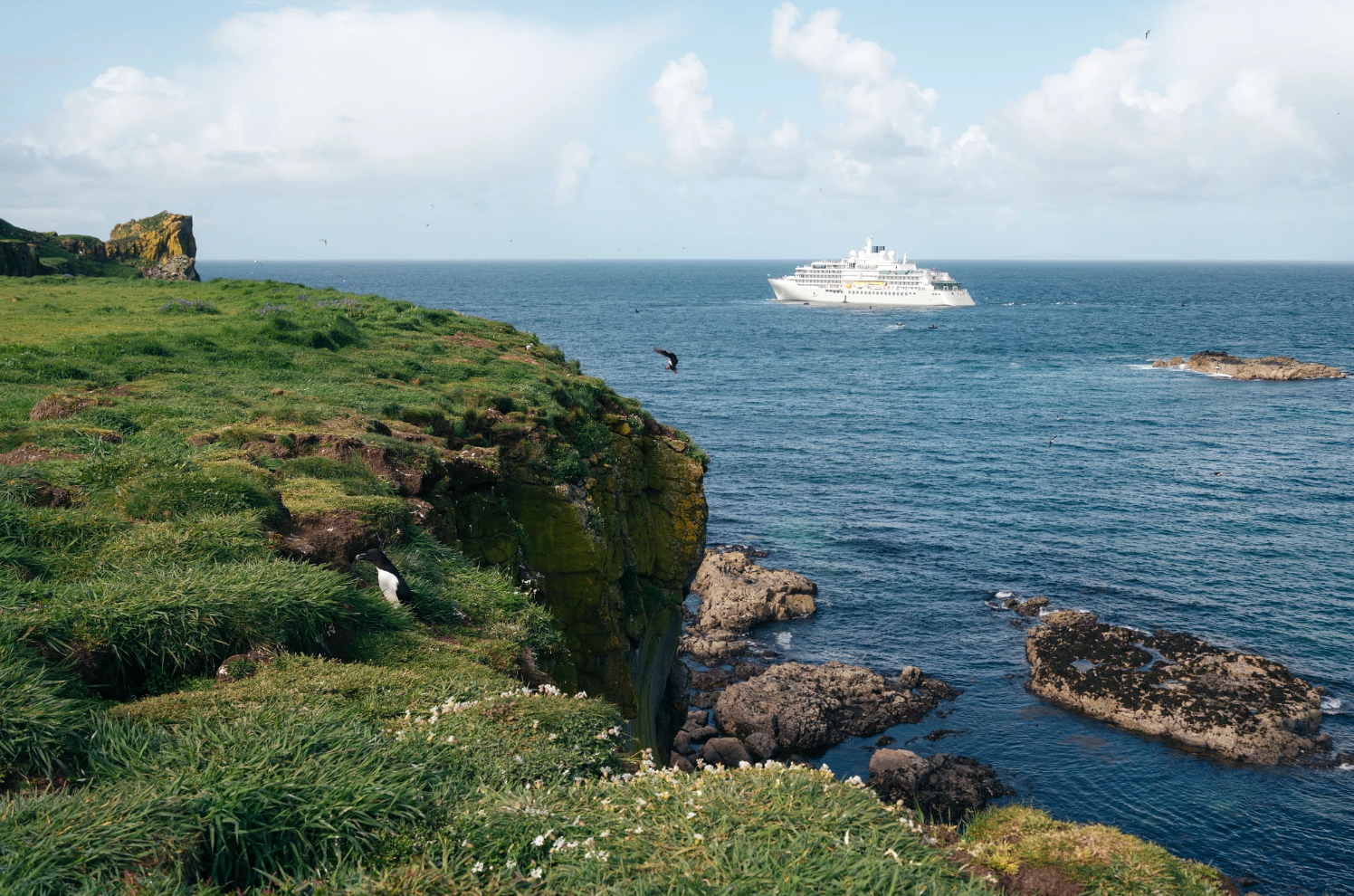 Ships Built for Unforgettable Journeys