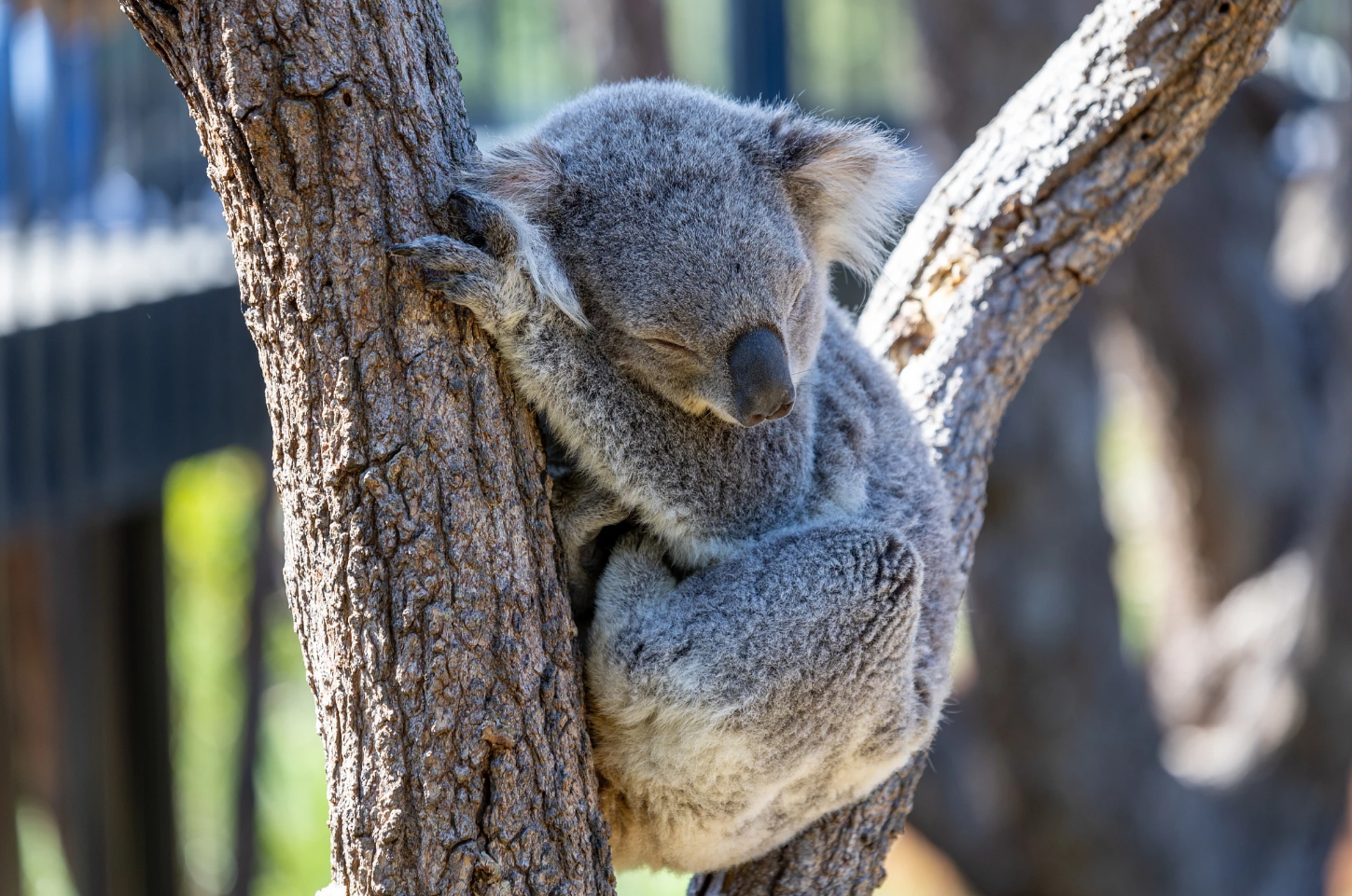 Not Sure Where to Start?