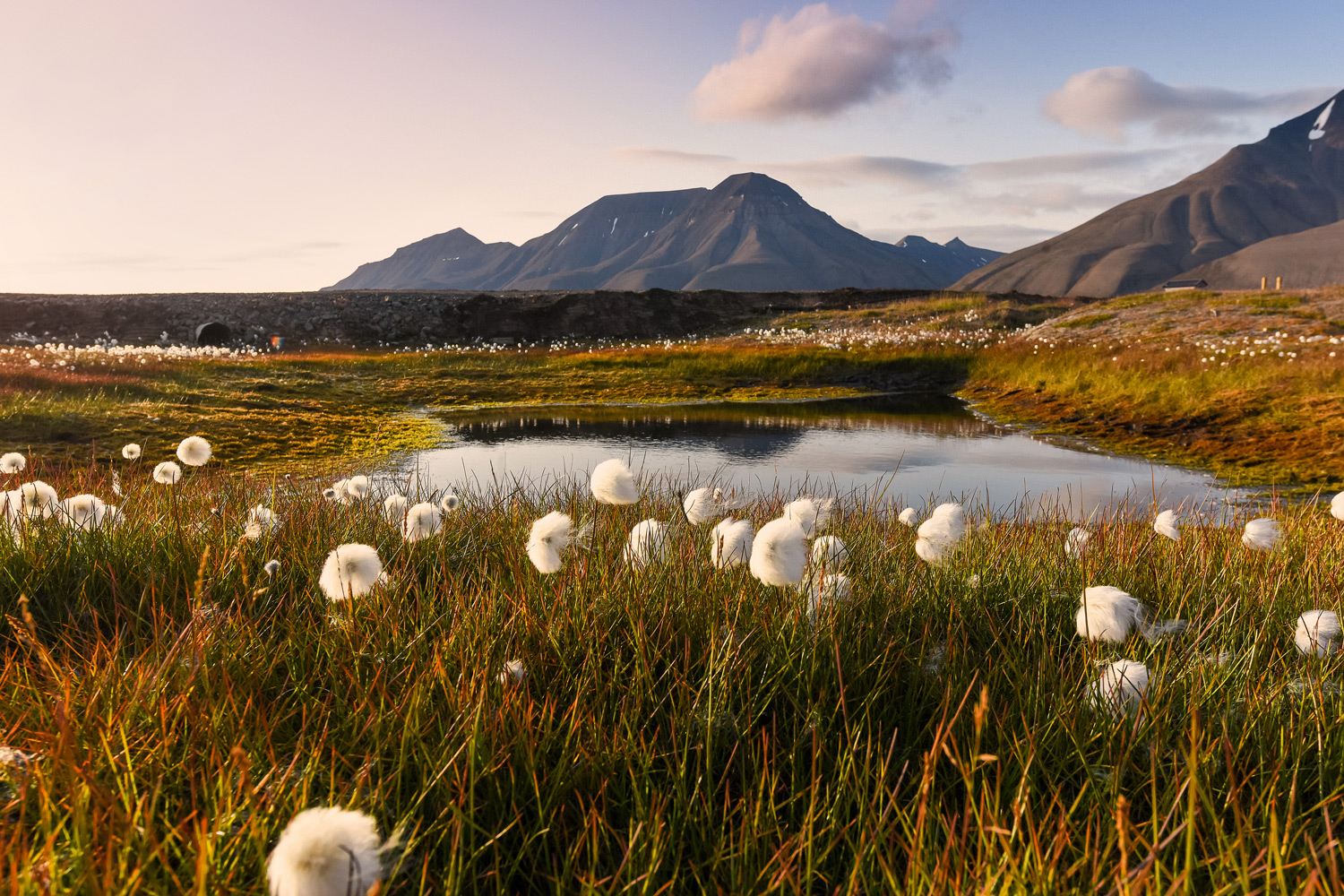 Arctic Golden Autumn & Northern Lights