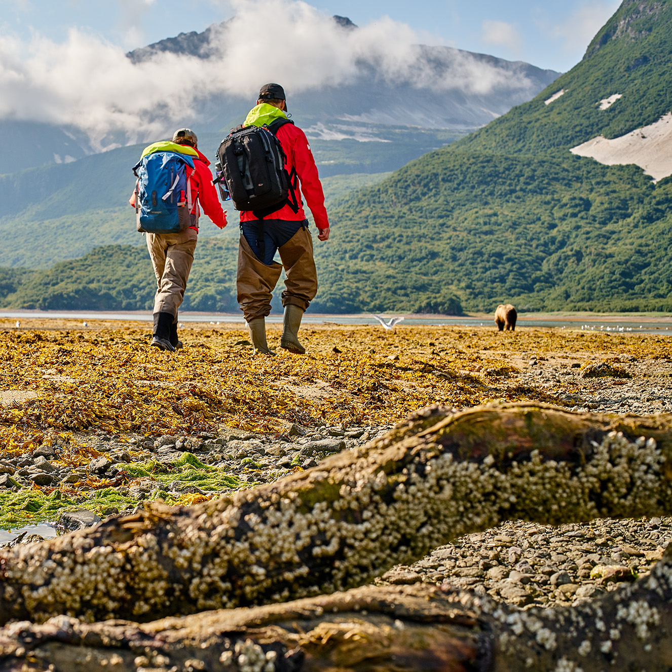 <small>ALASKA</small>
The Magnificent Wild