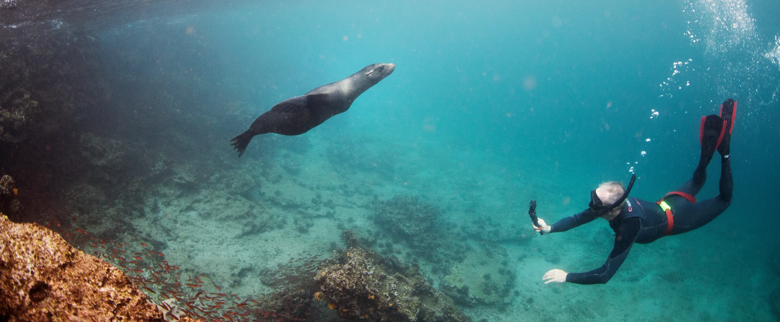 Dive Into Striking Snorkeling Adventures