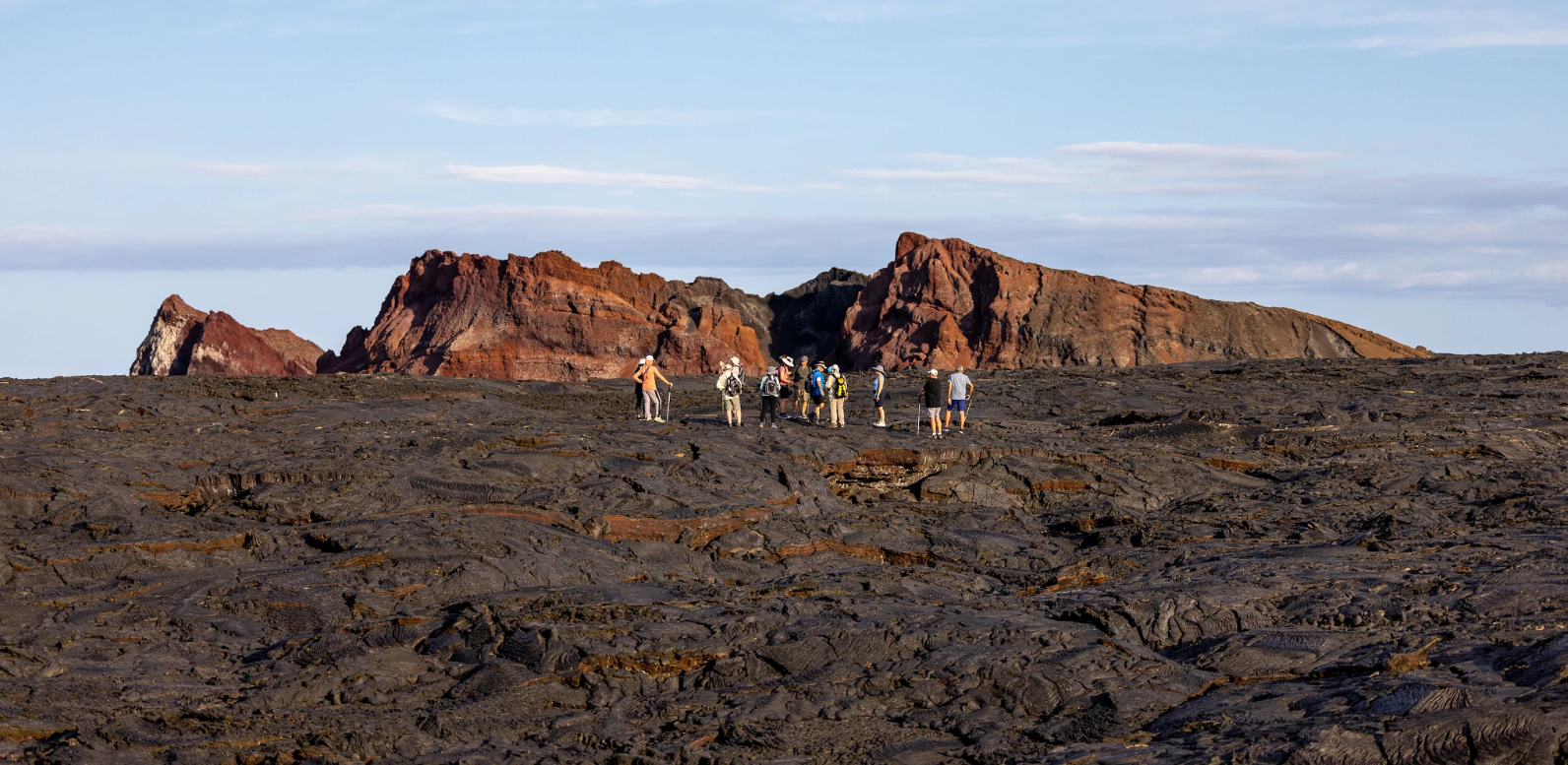 Walking on the Wild Side