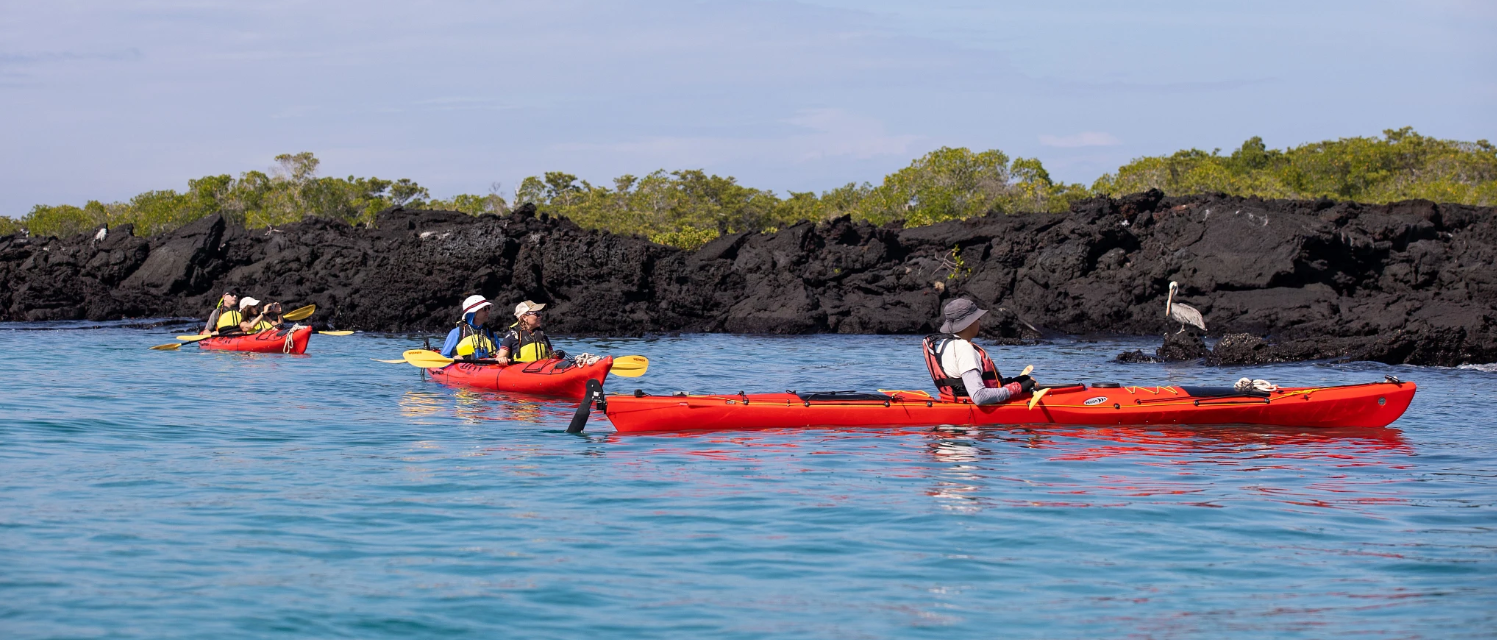 Captivate Your Senses in a Kayak