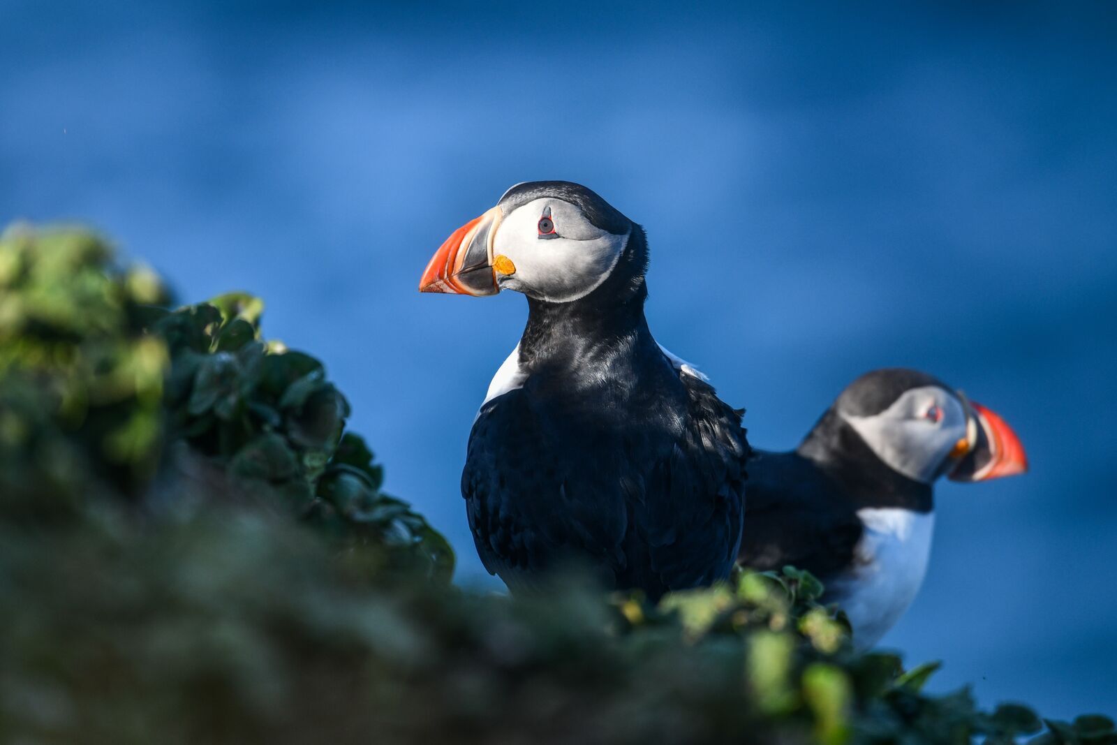 Beethoven’s Icelandic Symphony: A Musical Voyage