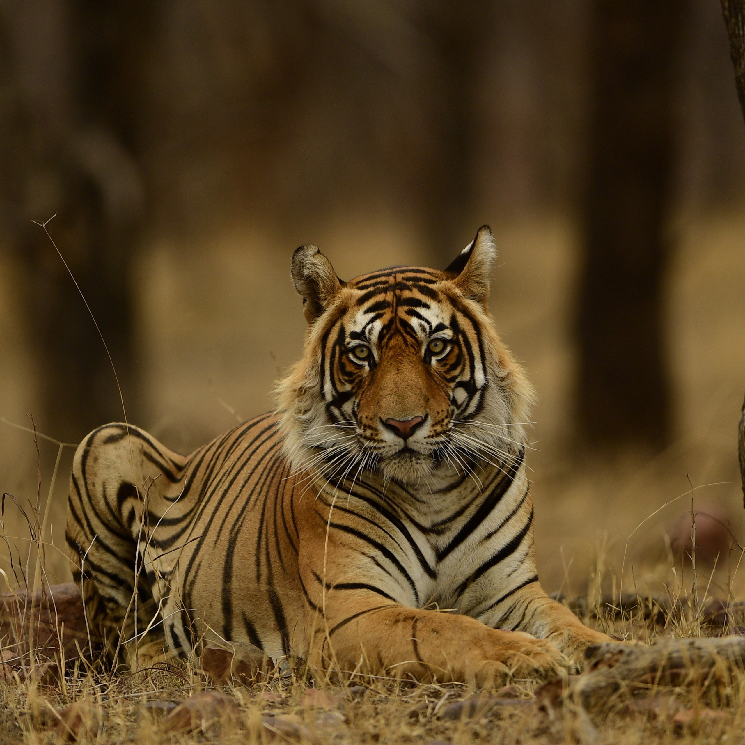 Award-winning excellence