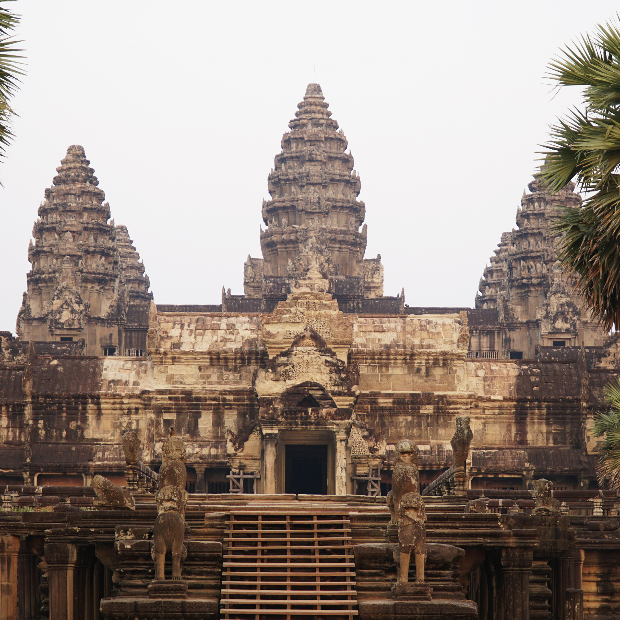 Over six decades of knowledge