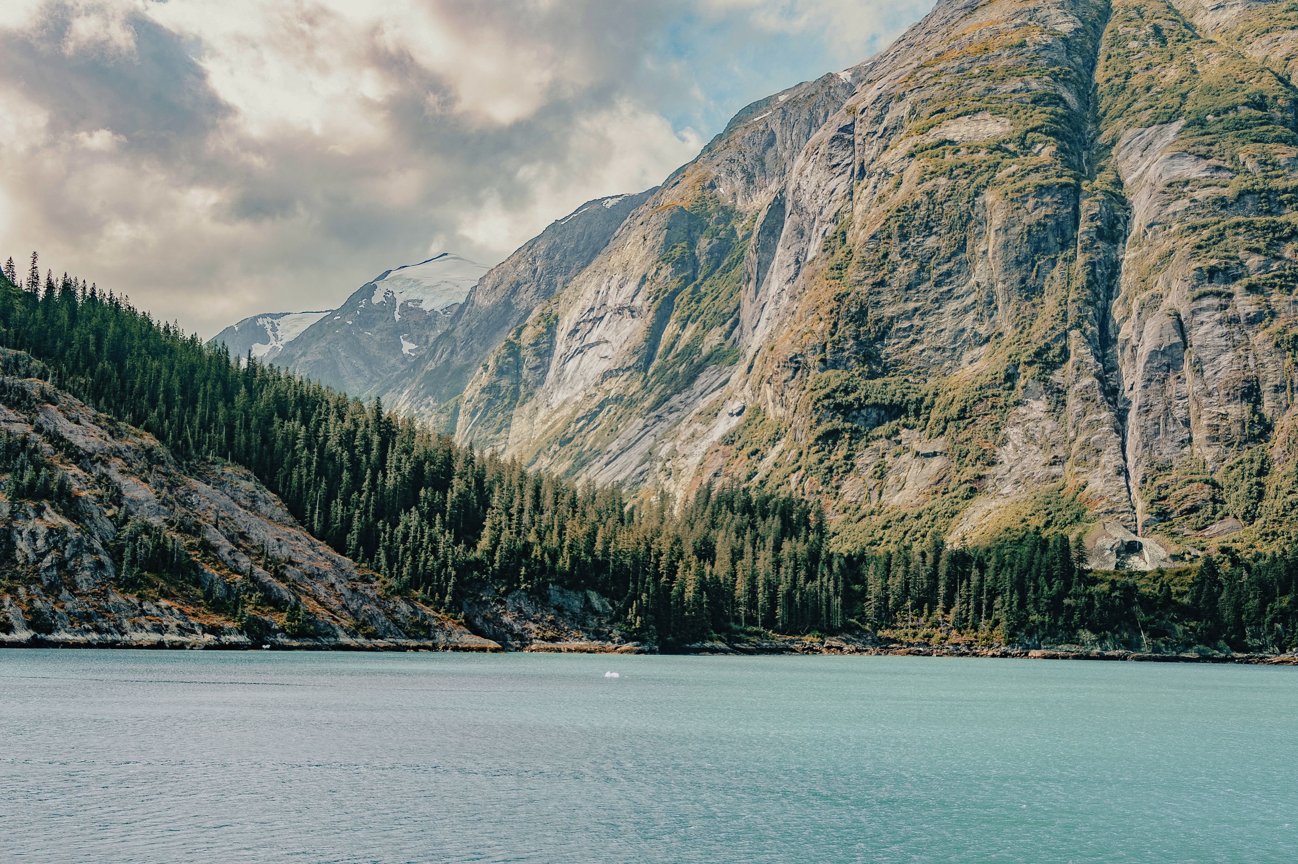 A Journey Through Untamed Landscapes & Coastal Treasures