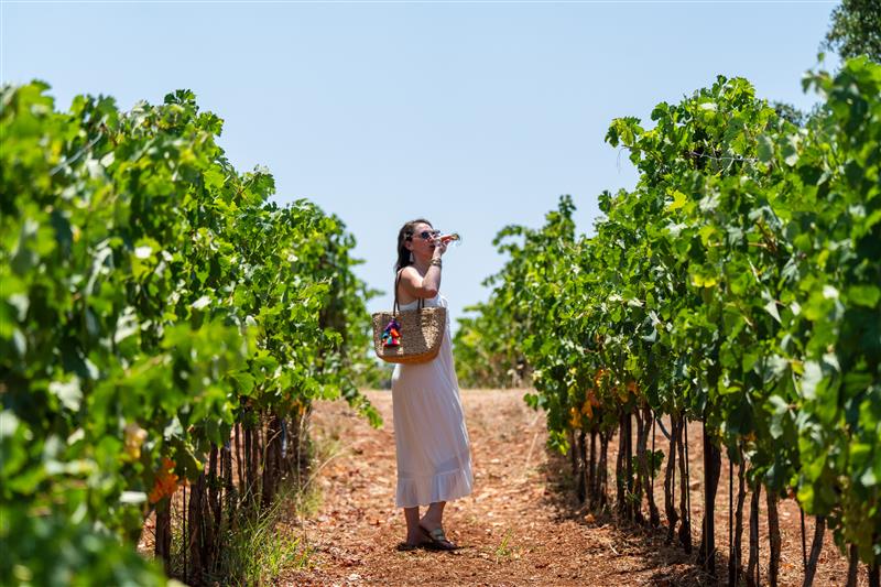 Epicurean Expeditions