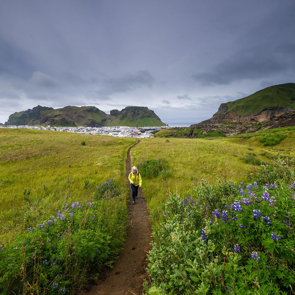 Wild Arctic Shores: Circumnavigating Iceland and Exploring Greenland