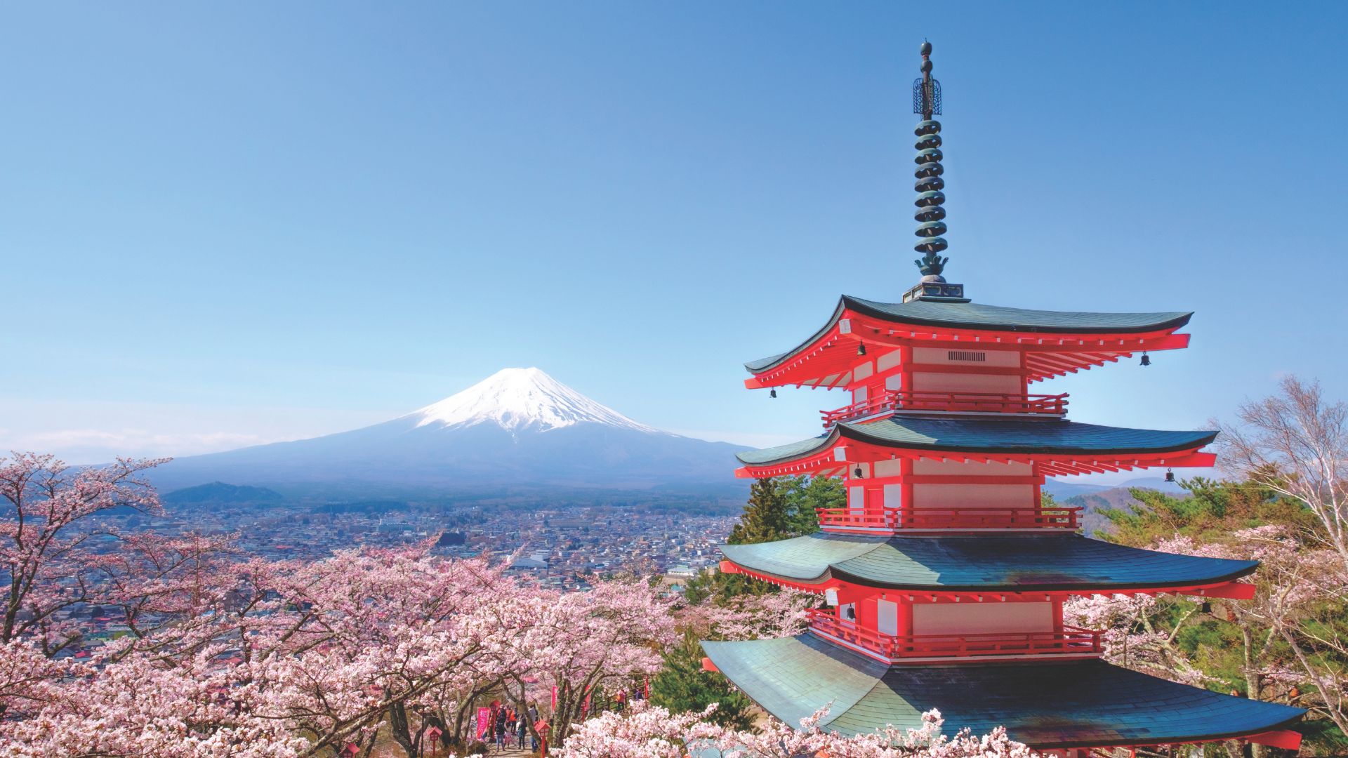 Enhancing Your Asia Experience