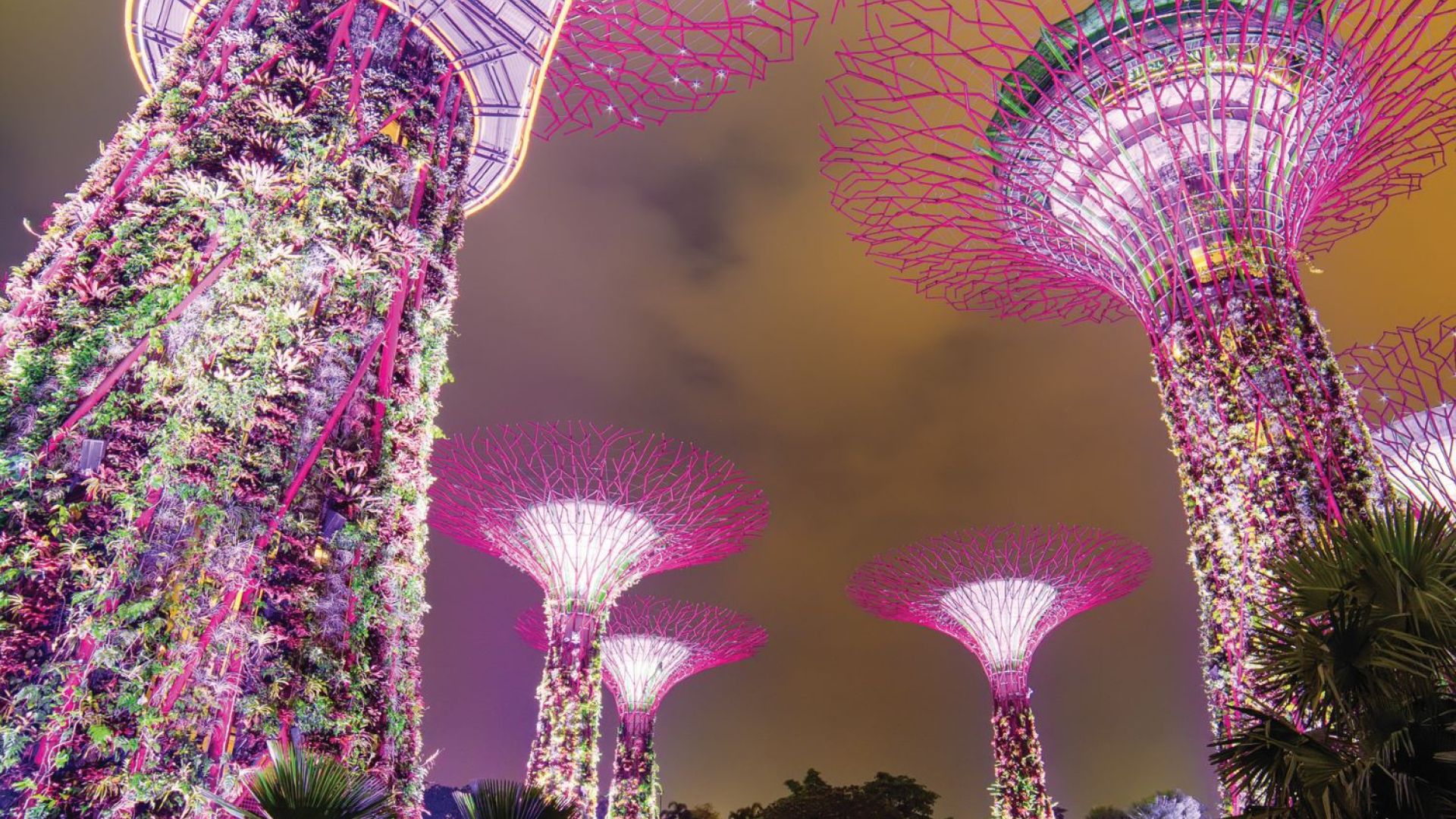 SINGAPORE, SINGAPORE