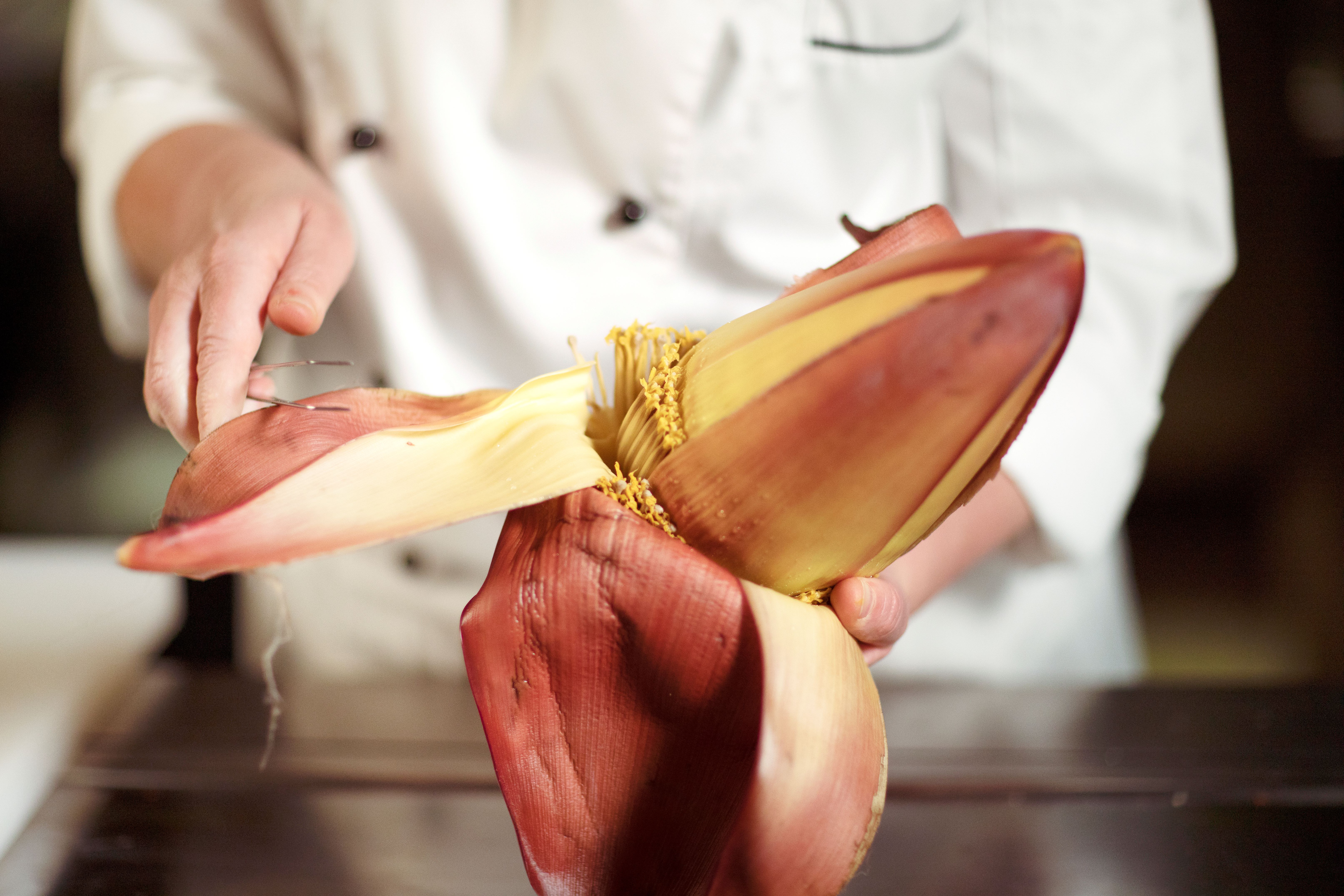 S.A.L.T. brings the tropics to your table