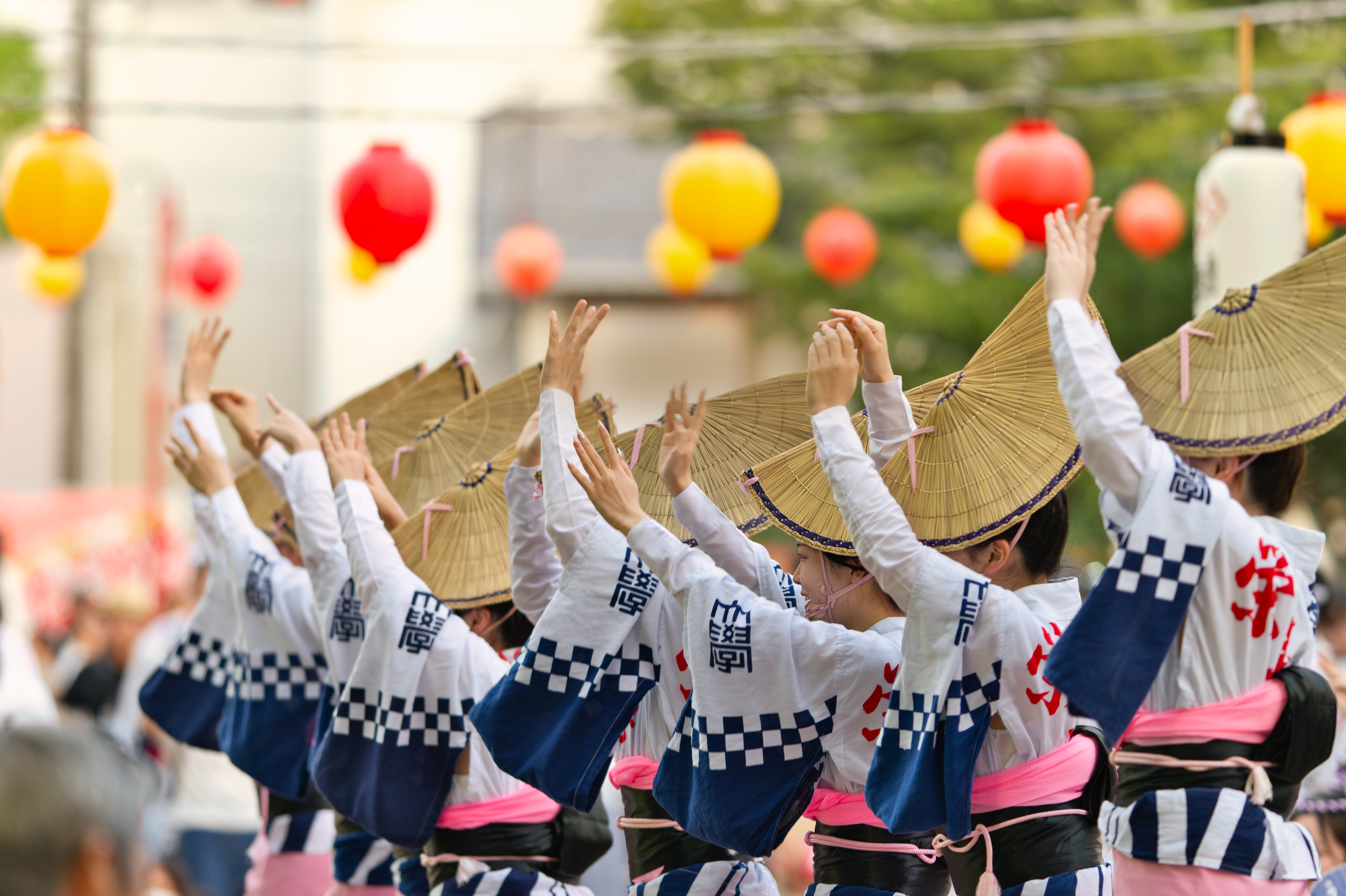 Let's plan your dream journey!